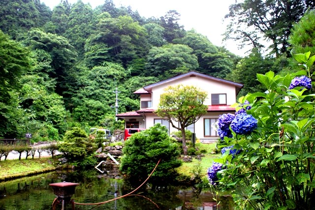 Panoramic view
