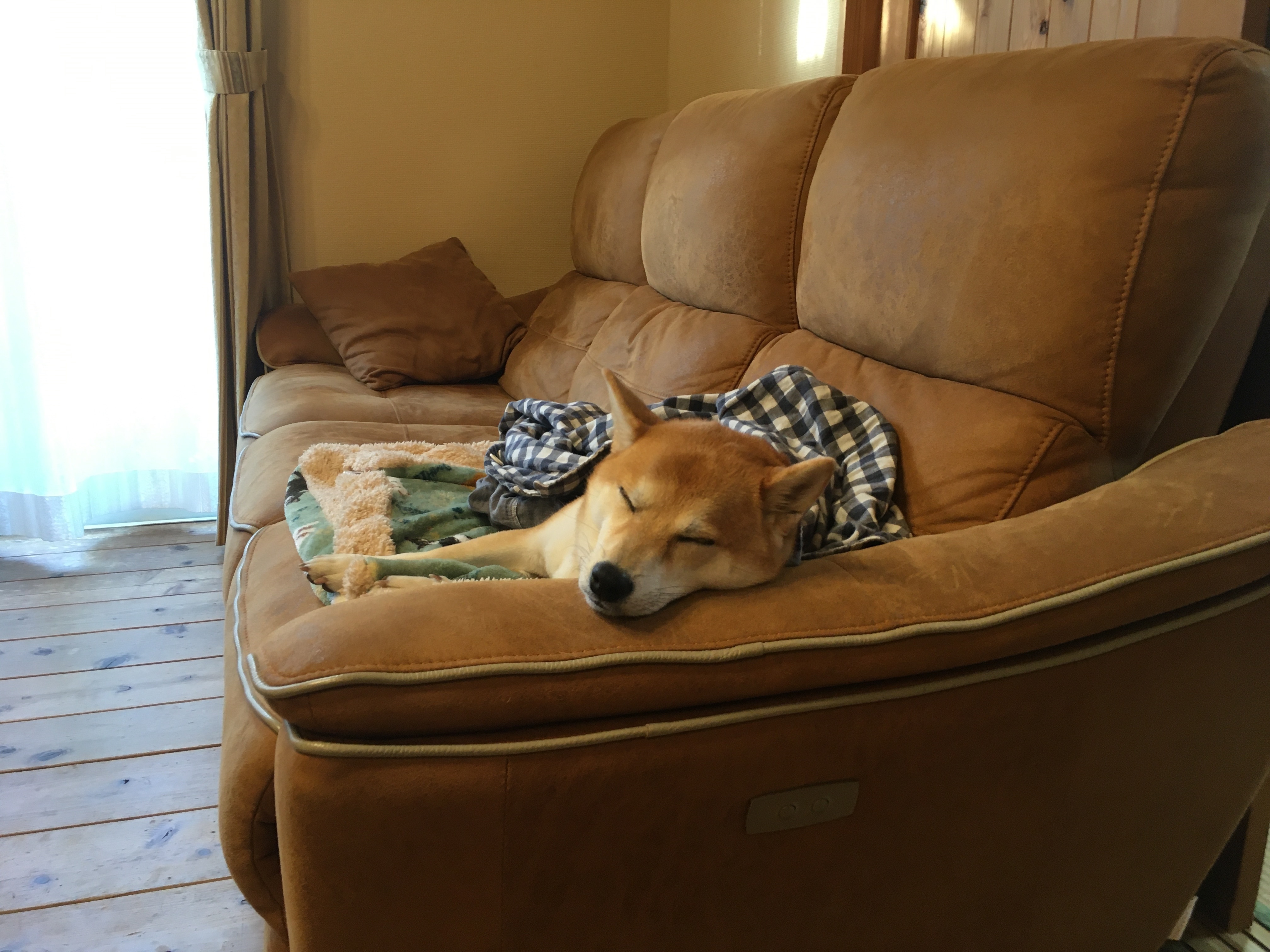 Để tôi ngủ một lát nhé. . .