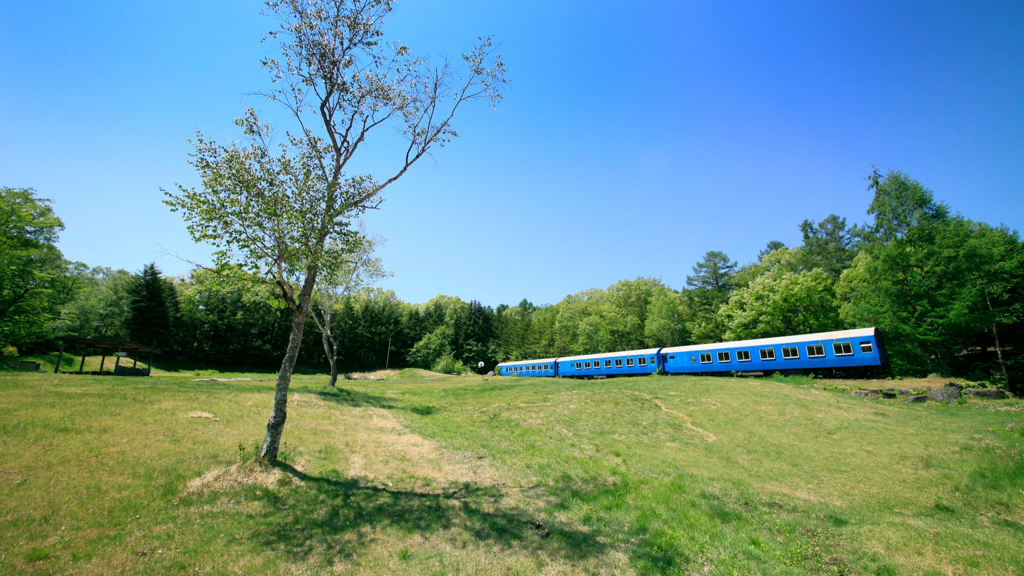 [Blue Train Square]