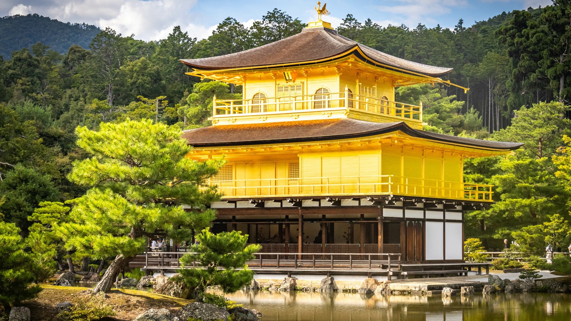 Hình ảnh Kinkakuji đi dạo ở Kyoto
