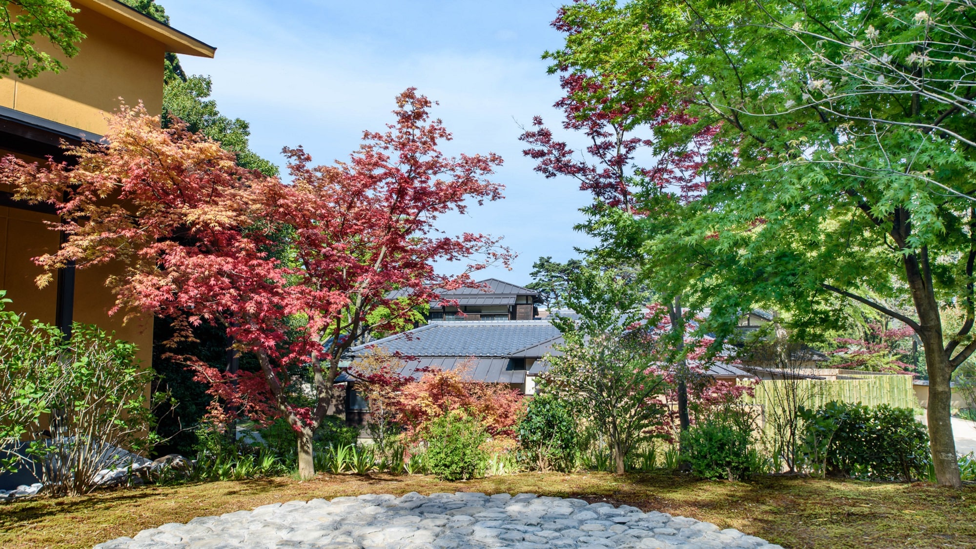 garden