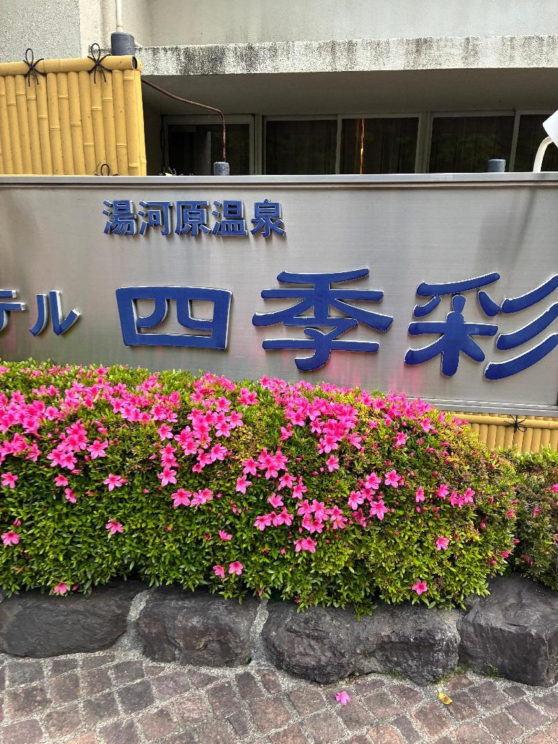 CB3204D8-4726-4EC9-8A43-068C670DD9A7.jpeg