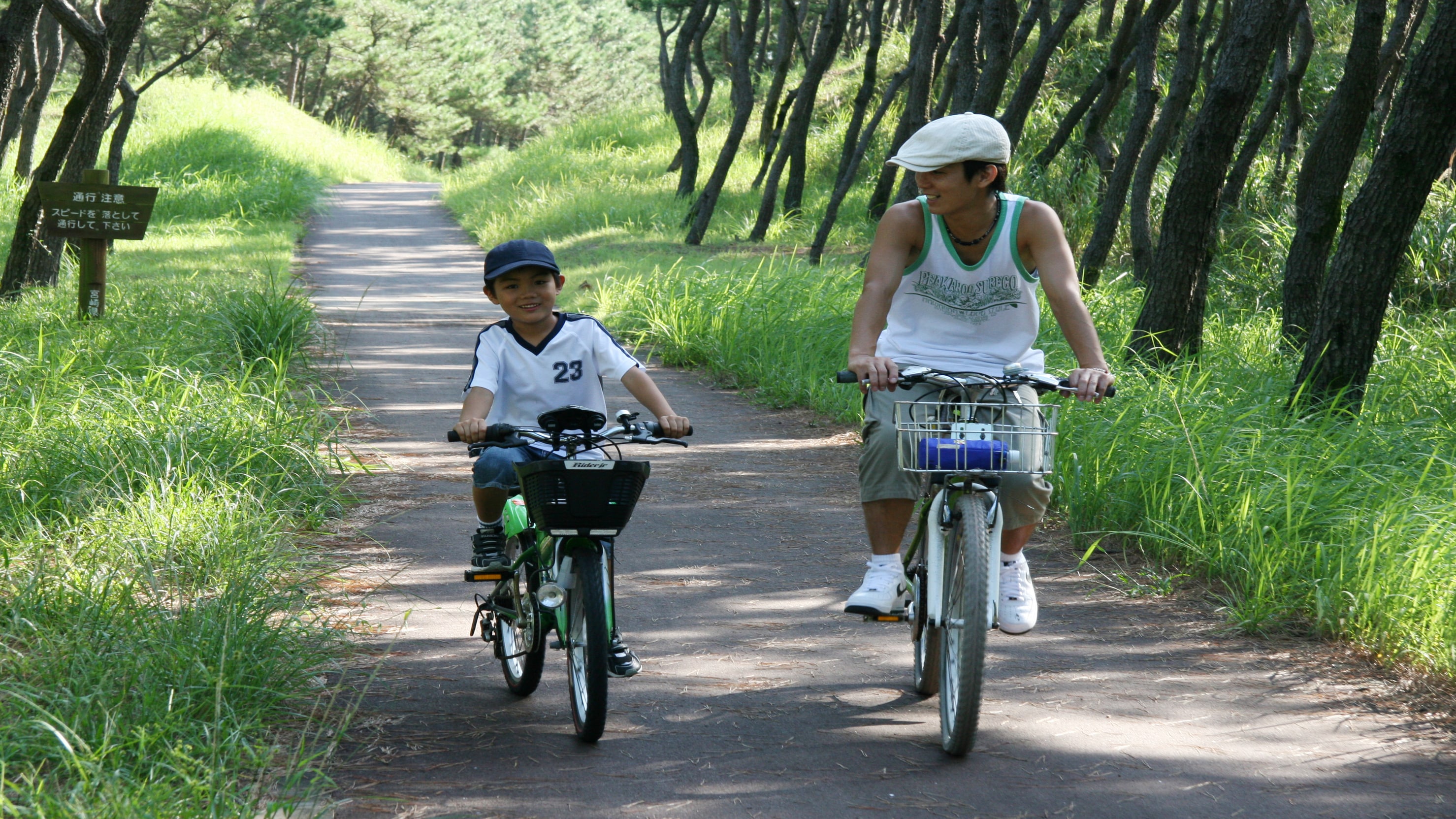 Cycling (pine forest)