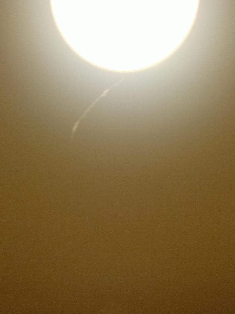 IMG_20260430_211230792.jpg