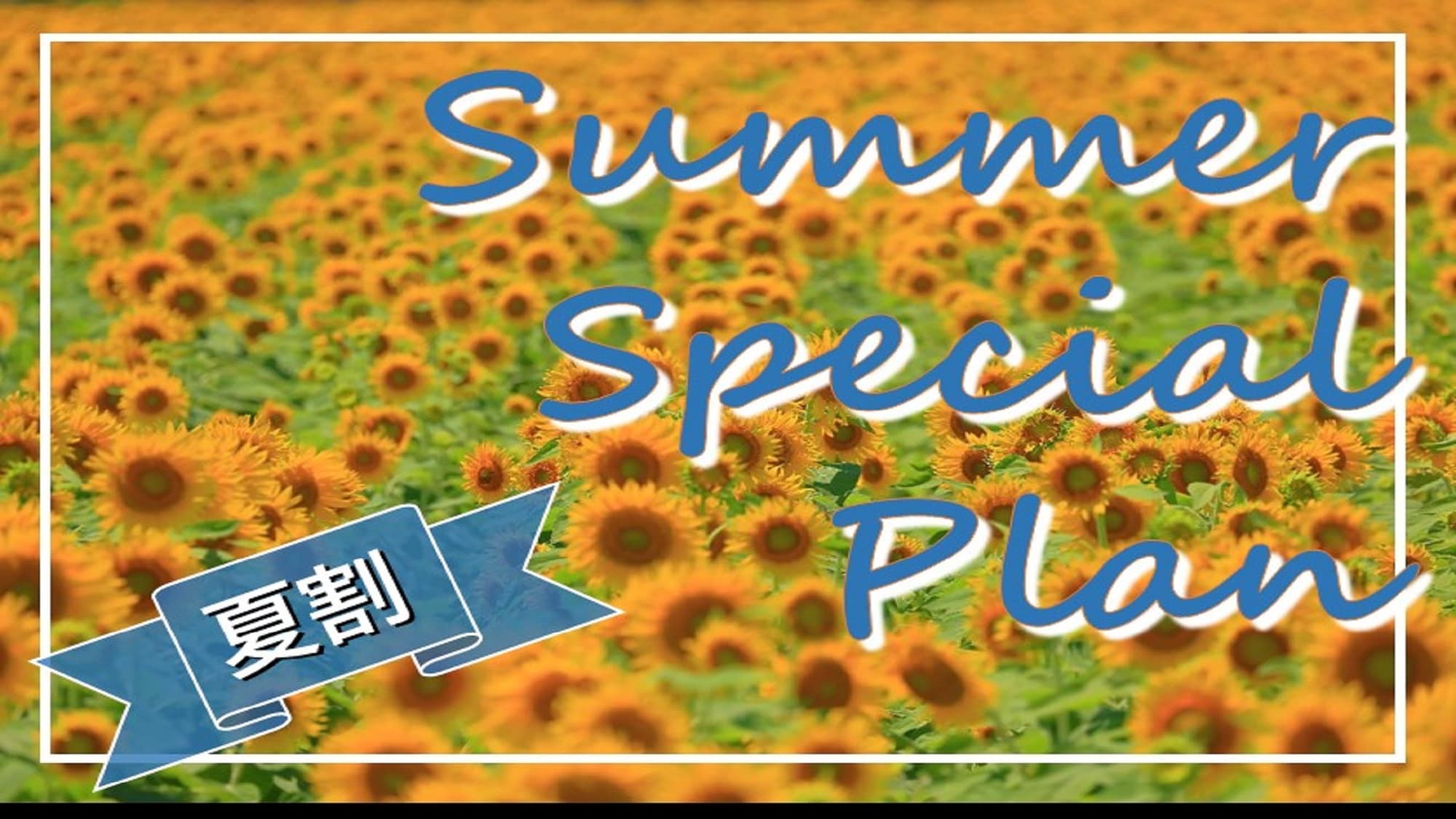 Summer Special Price Plan