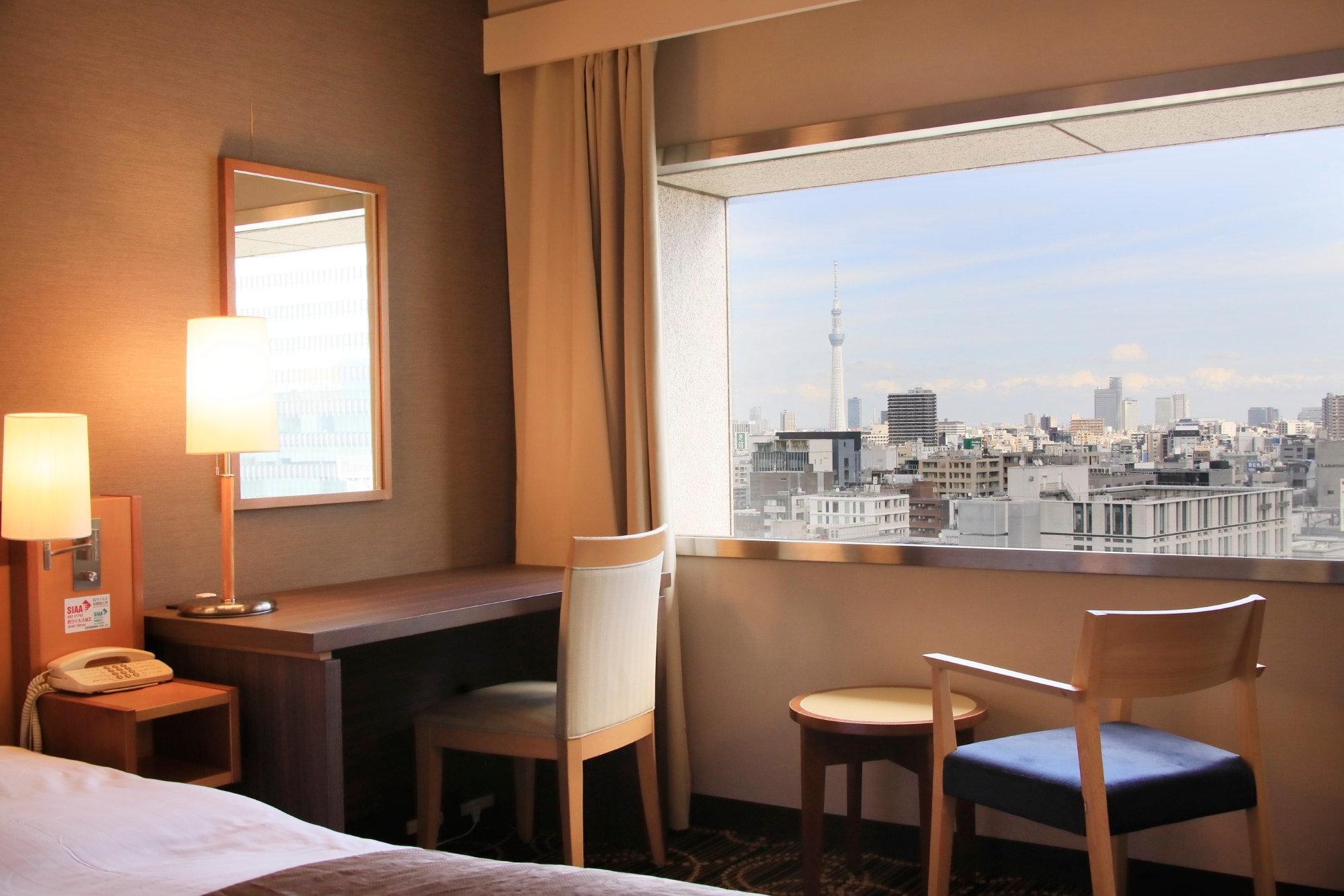 Deluxe Double (Skytree View)