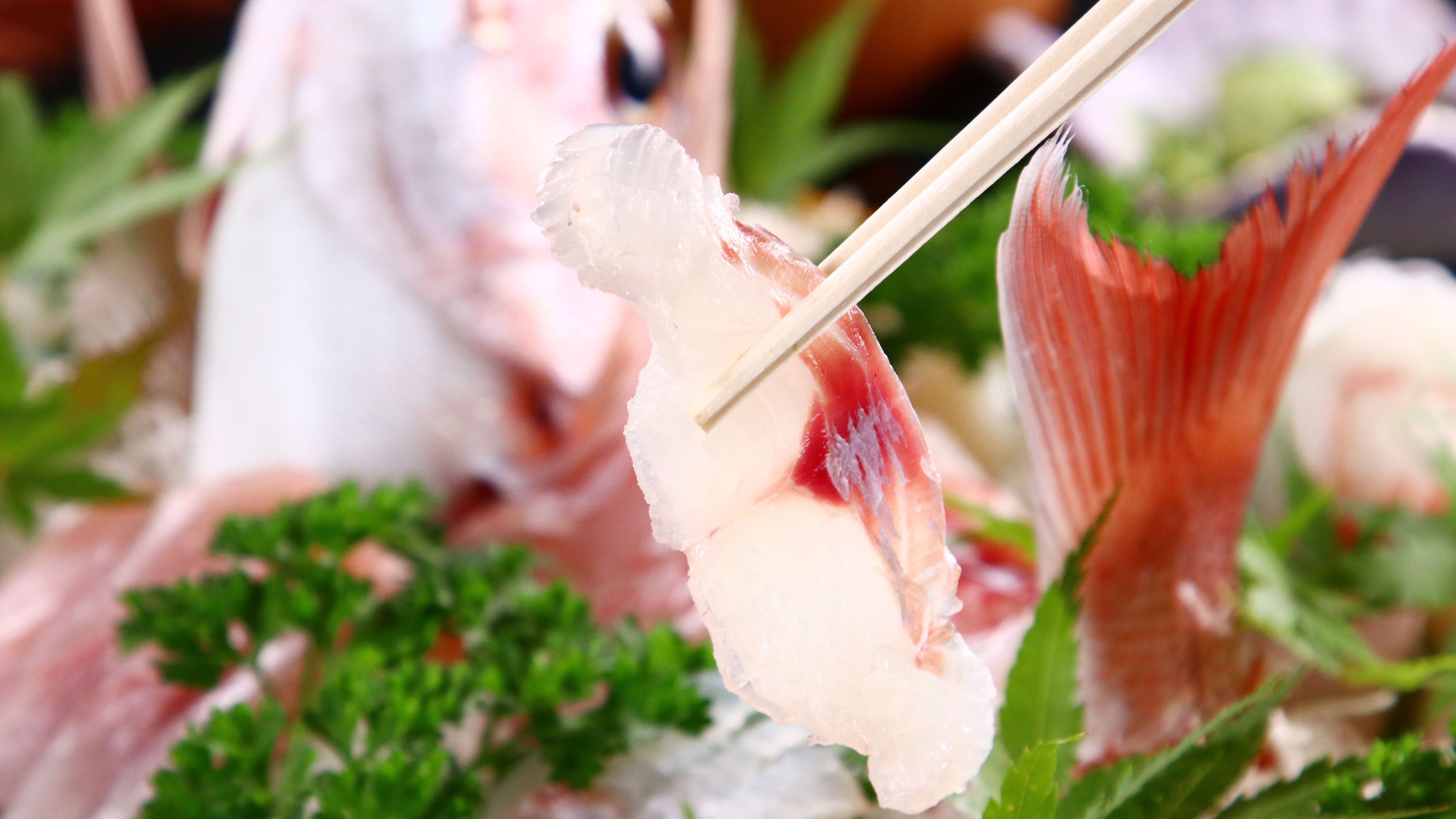 Meals: Fresh sashimi with a pleasant texture