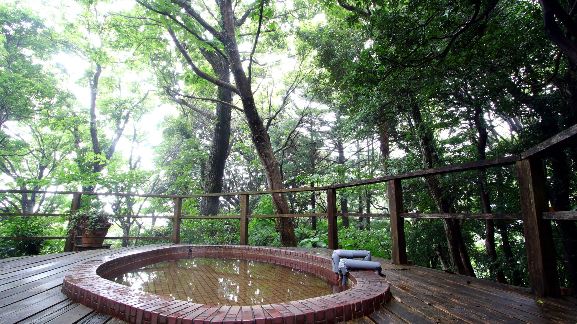 Facilities: The private open-air bath has a great atmosphere, as if you were in the middle of a forest.