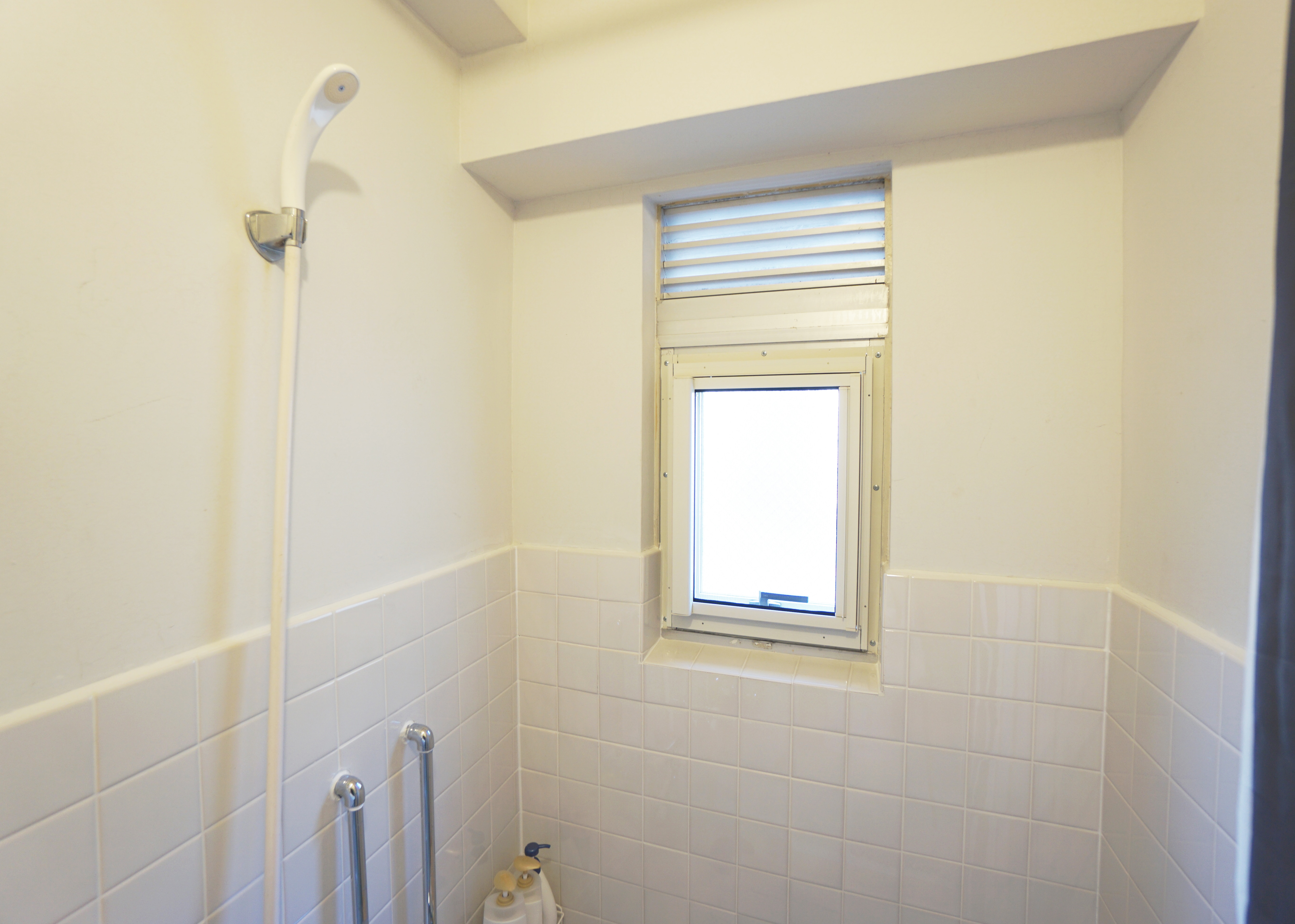 Shower (no bathtub)