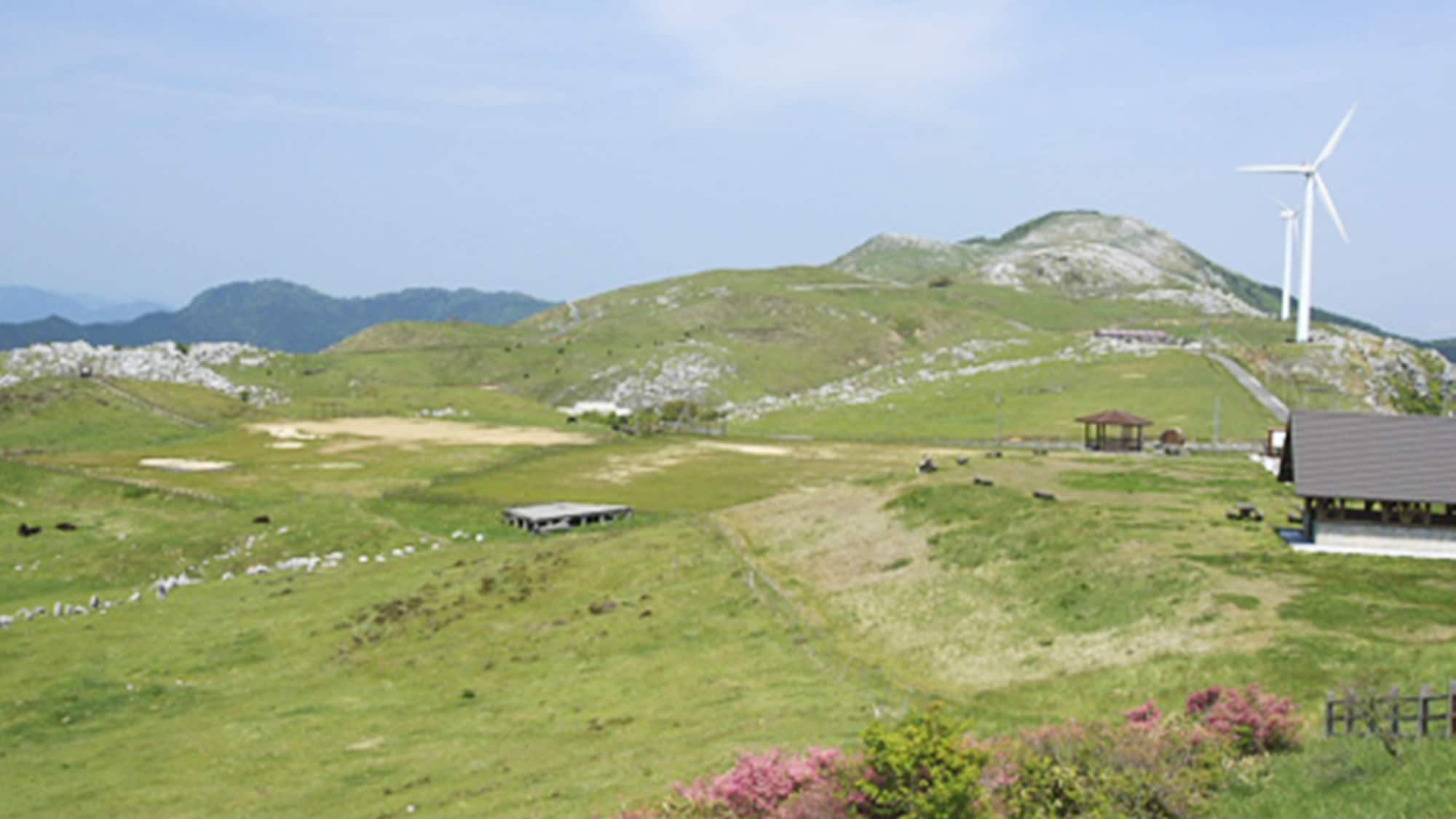 *Shikoku Karst