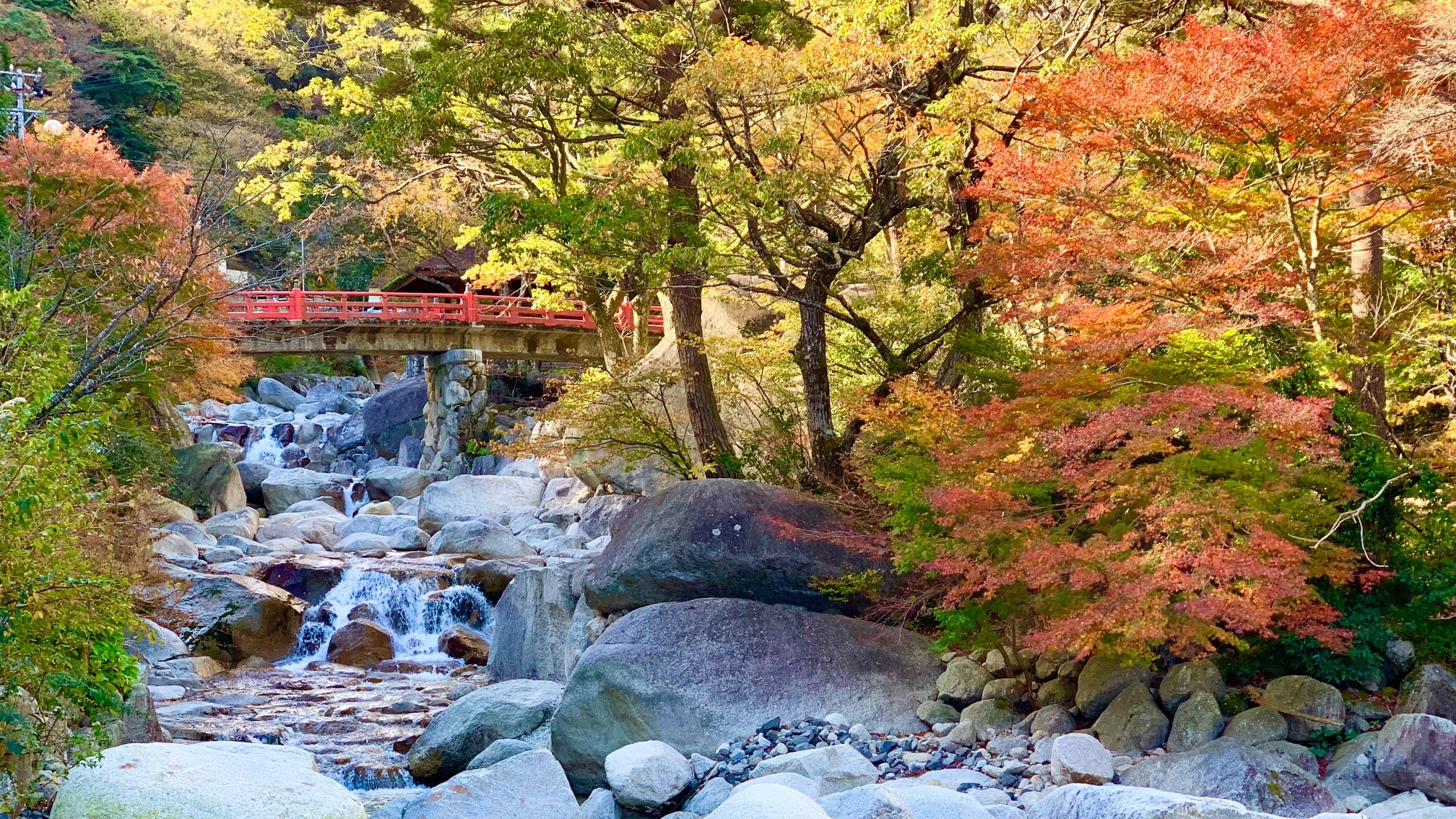 [Autumn leaves] Oishi Park image