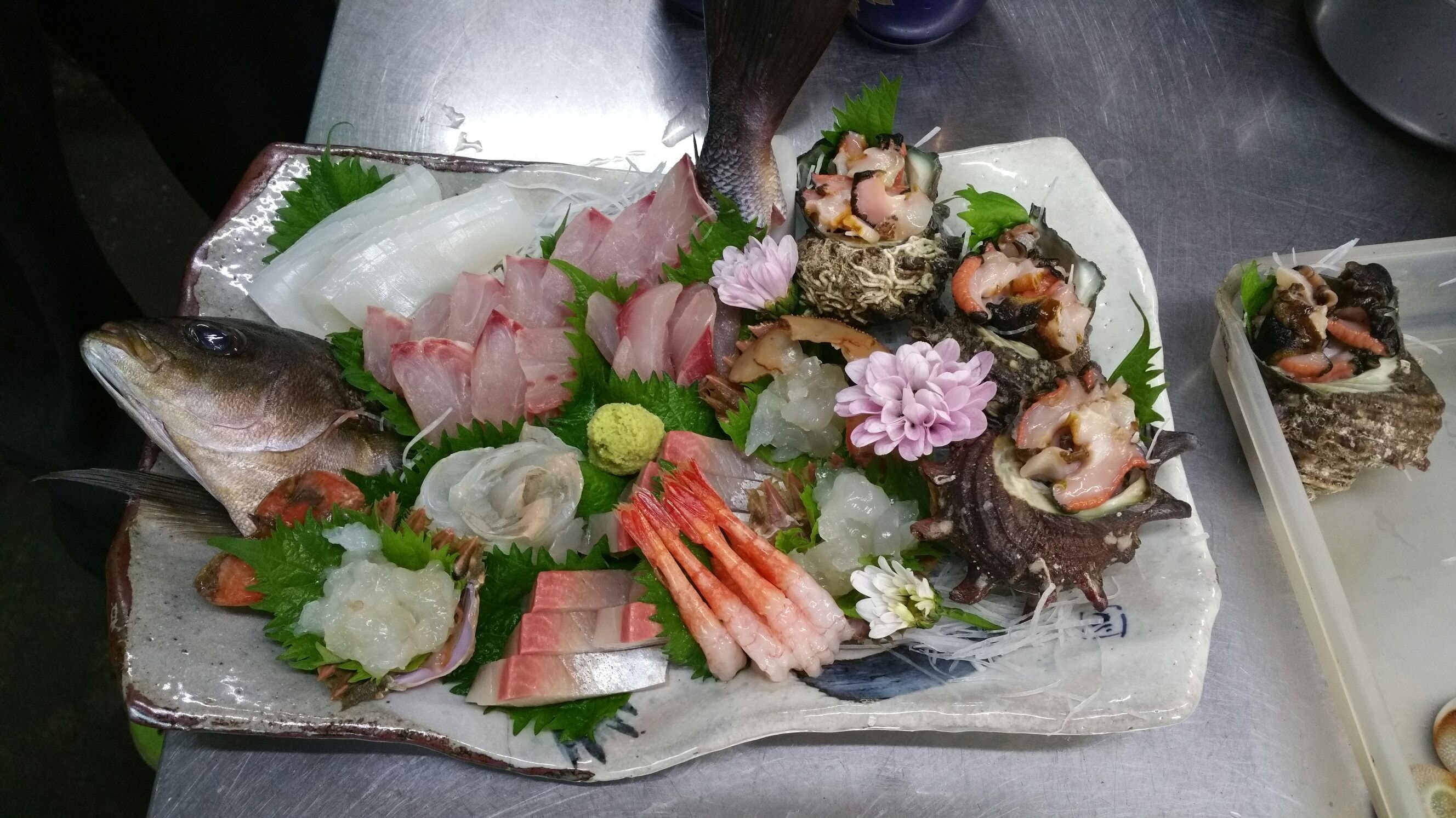 Lots of fish