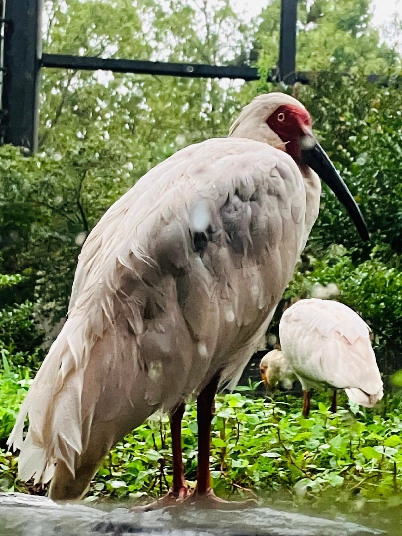 profile