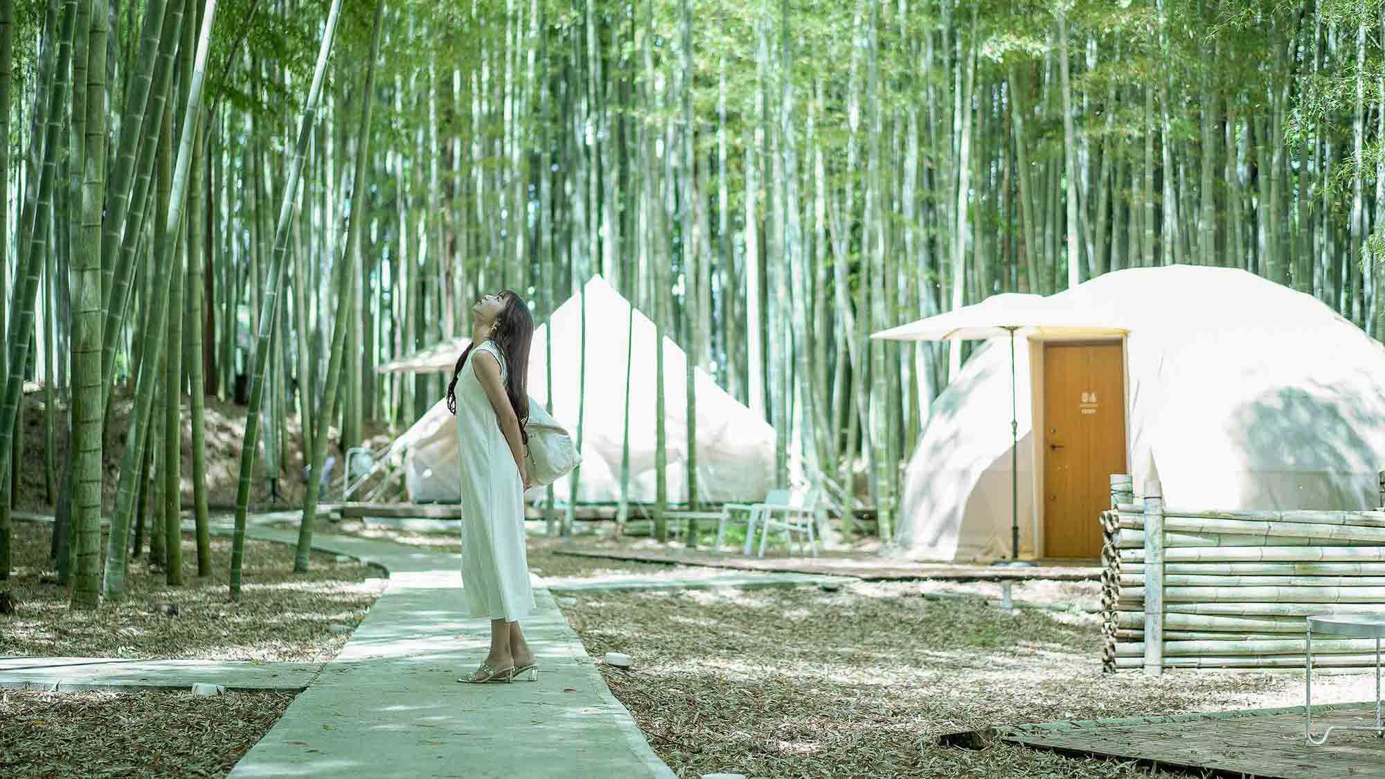 Bamboo forest and woman