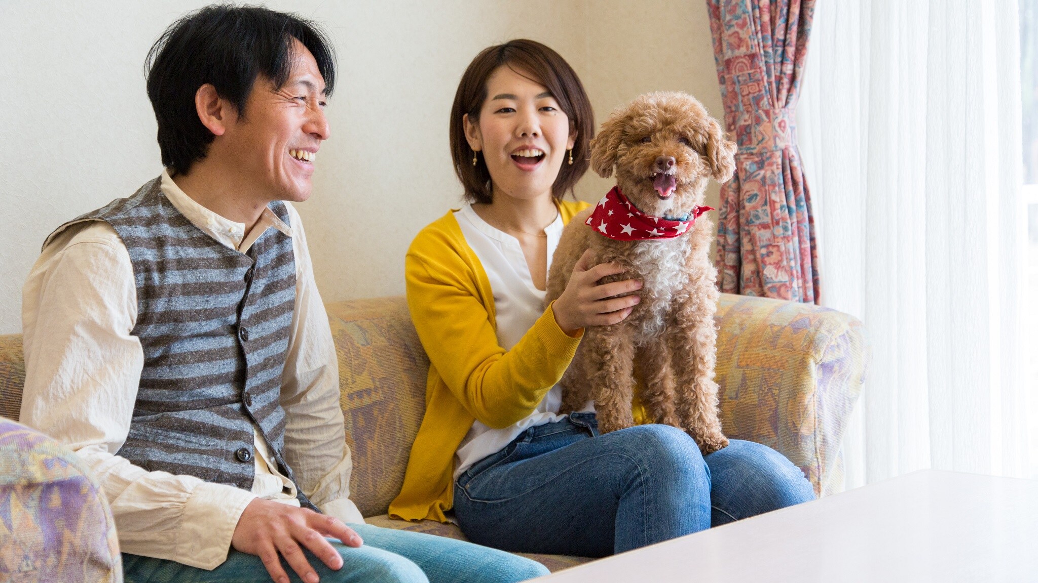 Relax with your pet in your room
