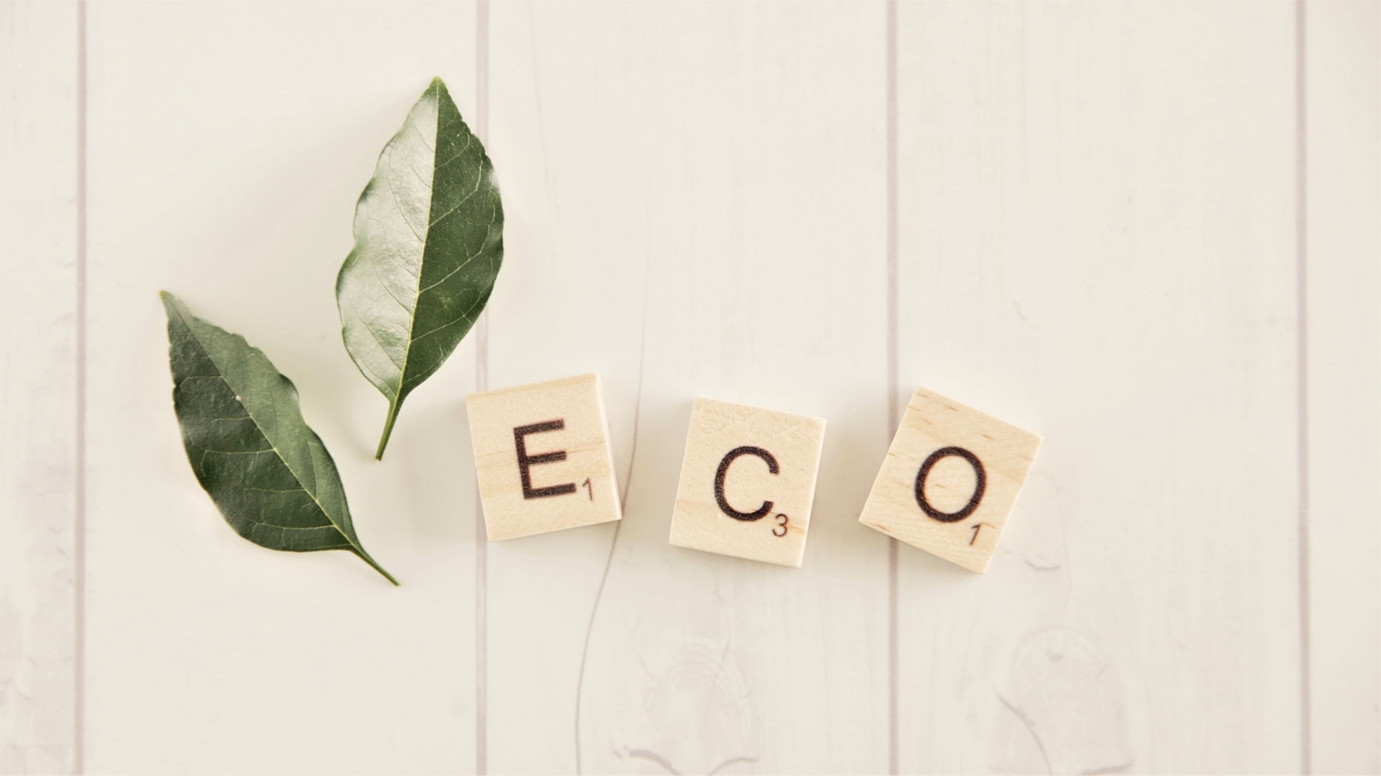 Consecutive nights eco plan-eco saves the earth-