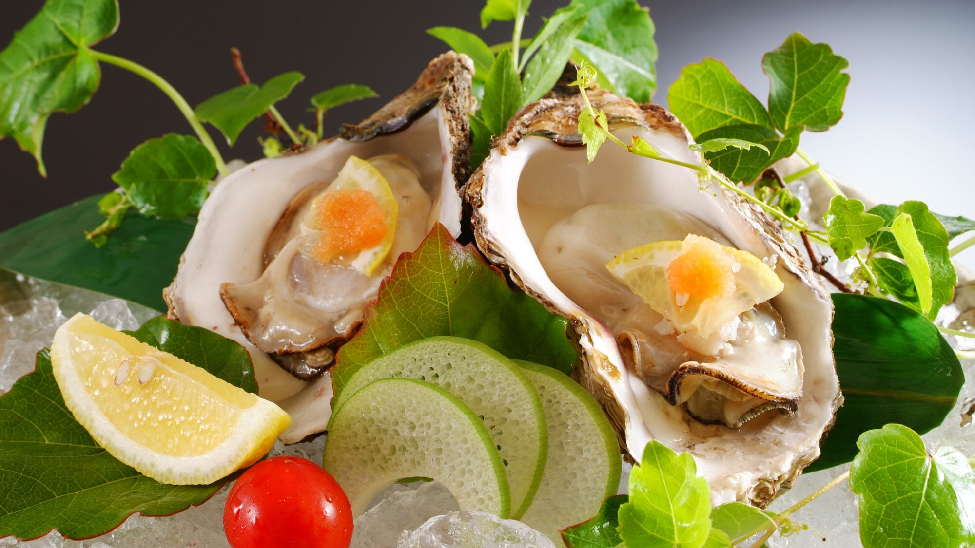 Rock oysters: an example