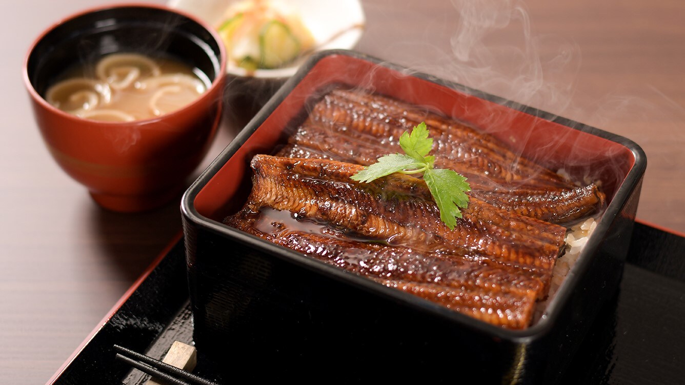 "Lake Hamana" eel rice bowl