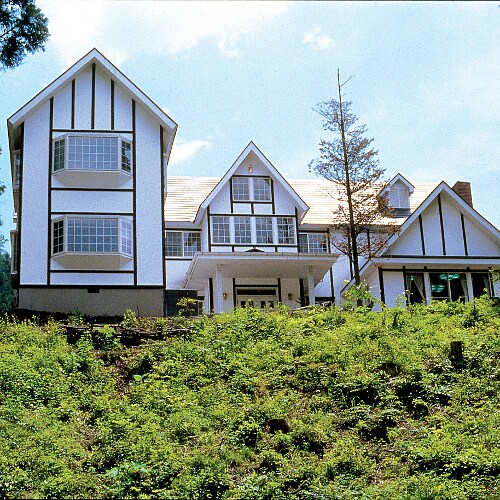 Appearance image
