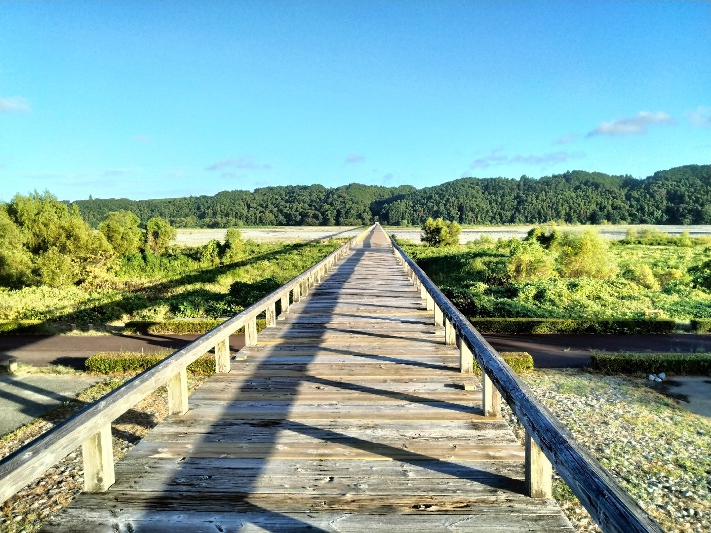 IMG20260807174435.jpg
