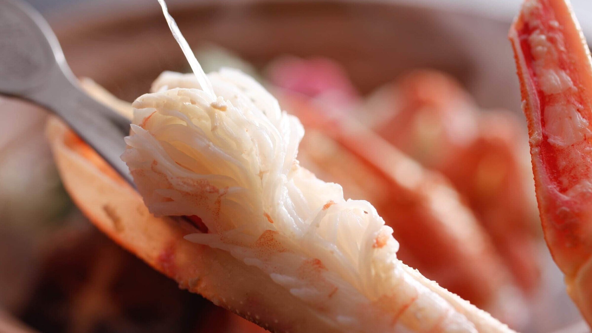 즈와이 게 (요리 예) 2