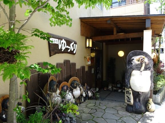 Entrance: Many raccoons welcome you
