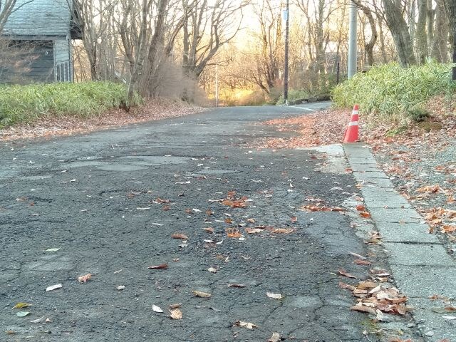 今朝の道路状況