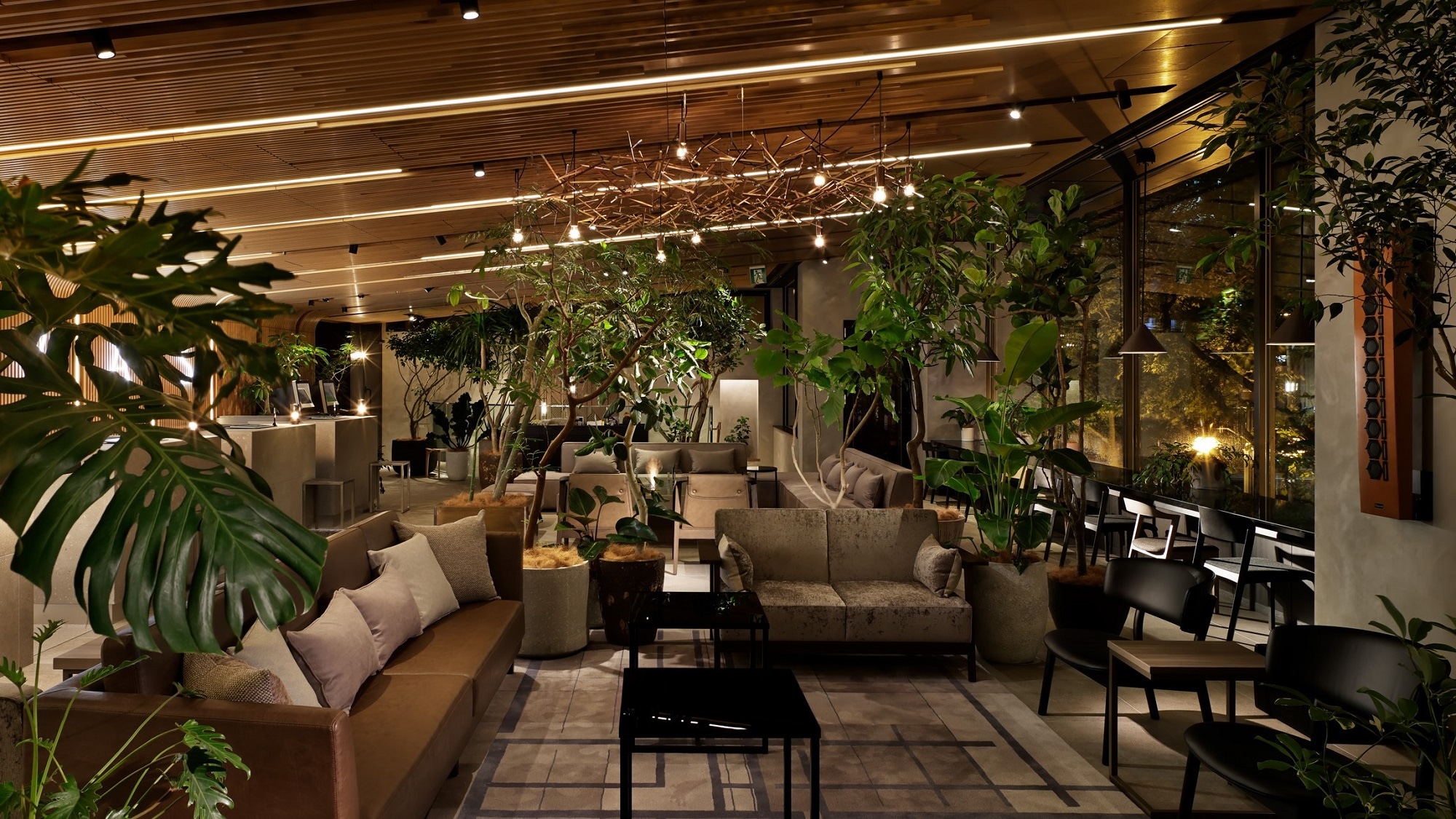 Canvas Lounge