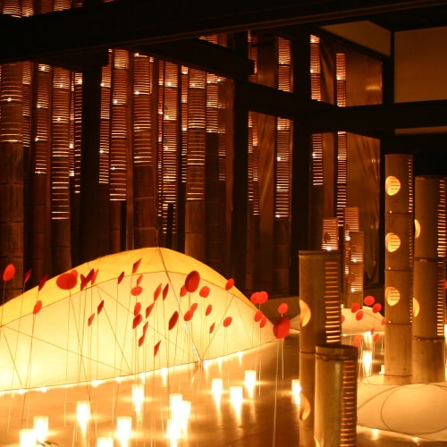 [Event Autumn] Thin bamboo evening / The traditional townscape is surrounded by the fantastic gentle light of "bamboo bonbori" and "objects".