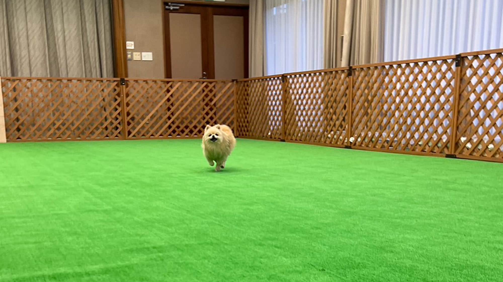 An all-weather dog run is available on the first floor of the annex.