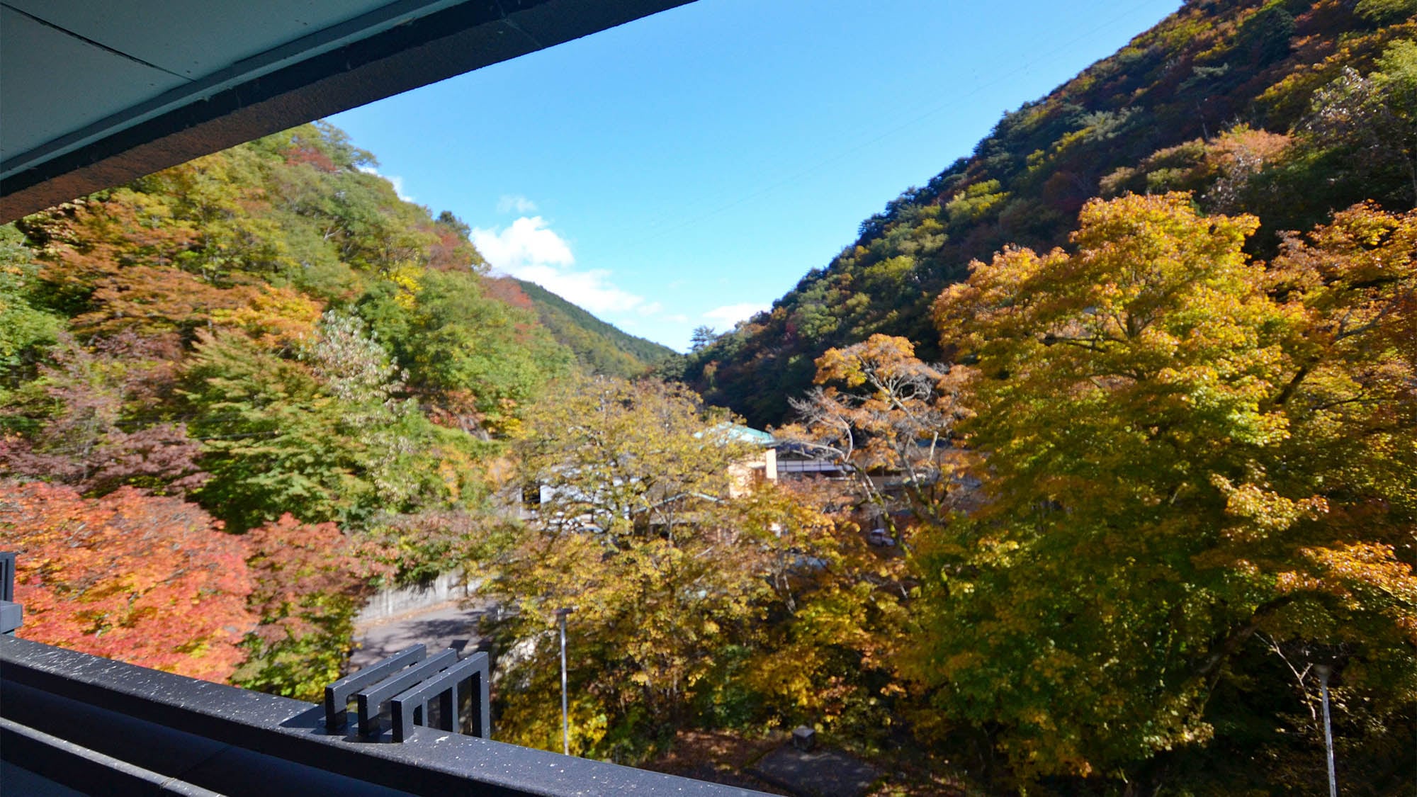 ・[View] You can see the vibrantly colored mountains in autumn.