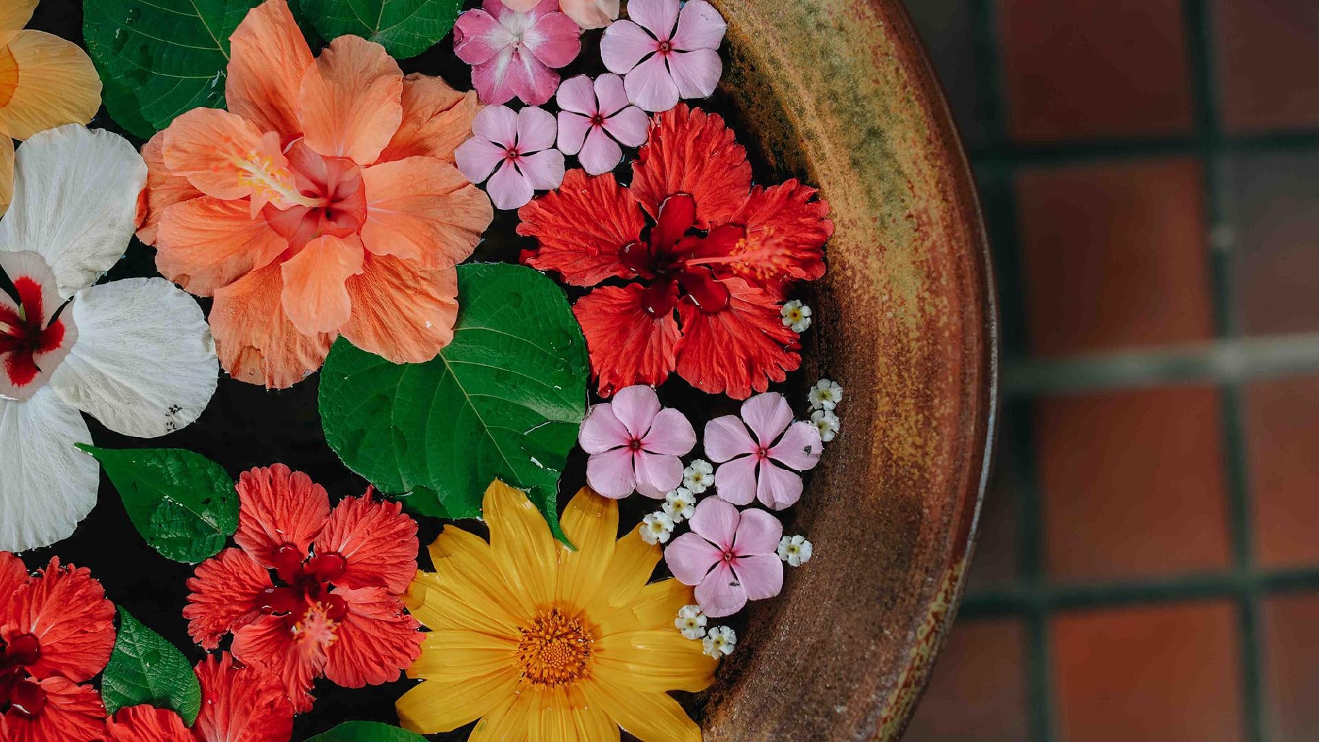 [Water flower]