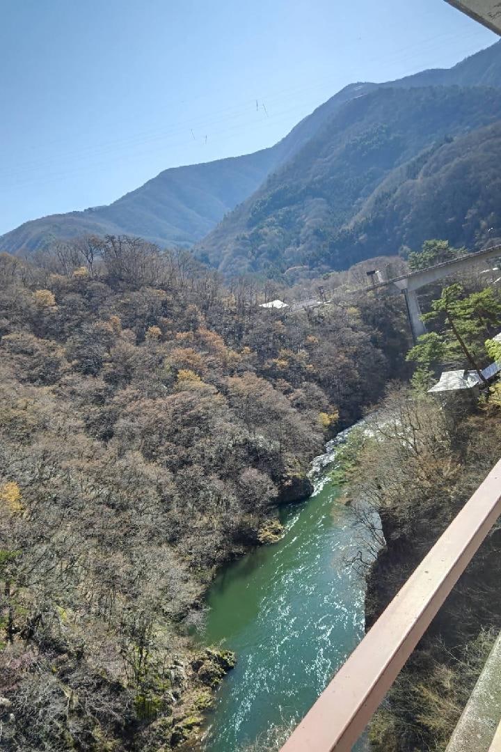 IMG_1404.jpeg