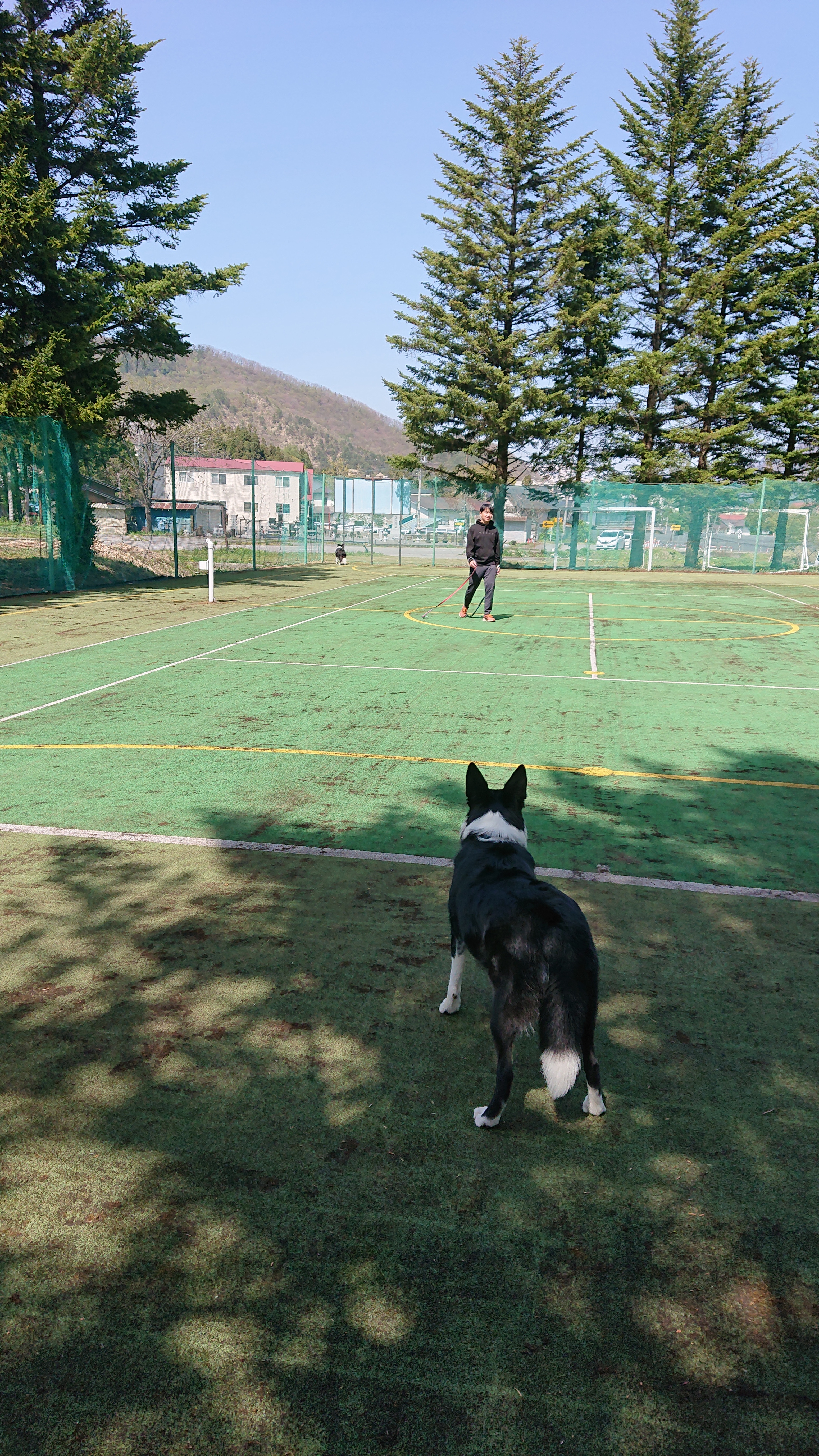 狗倫