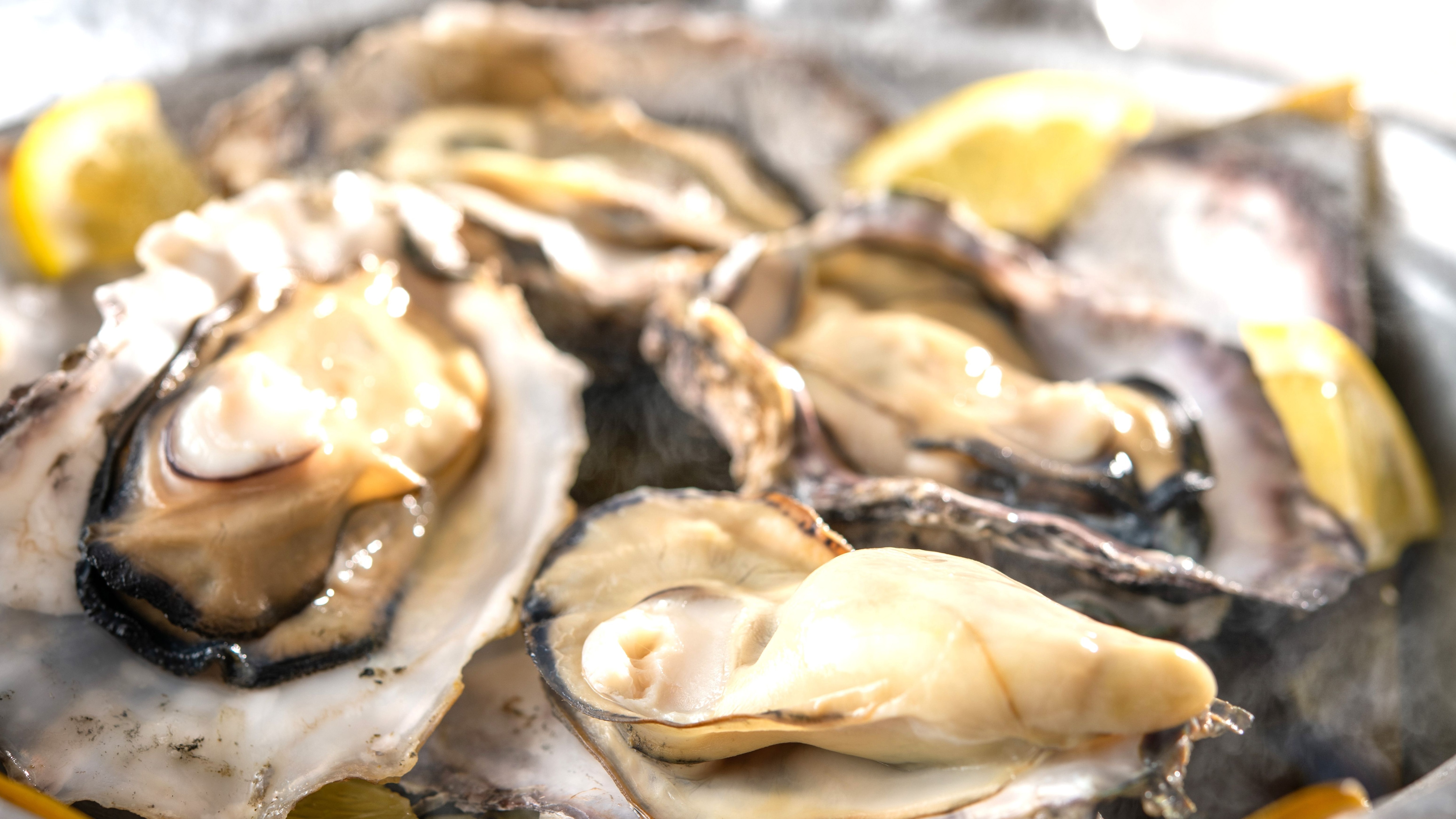 Ako's Delicacy: Oysters