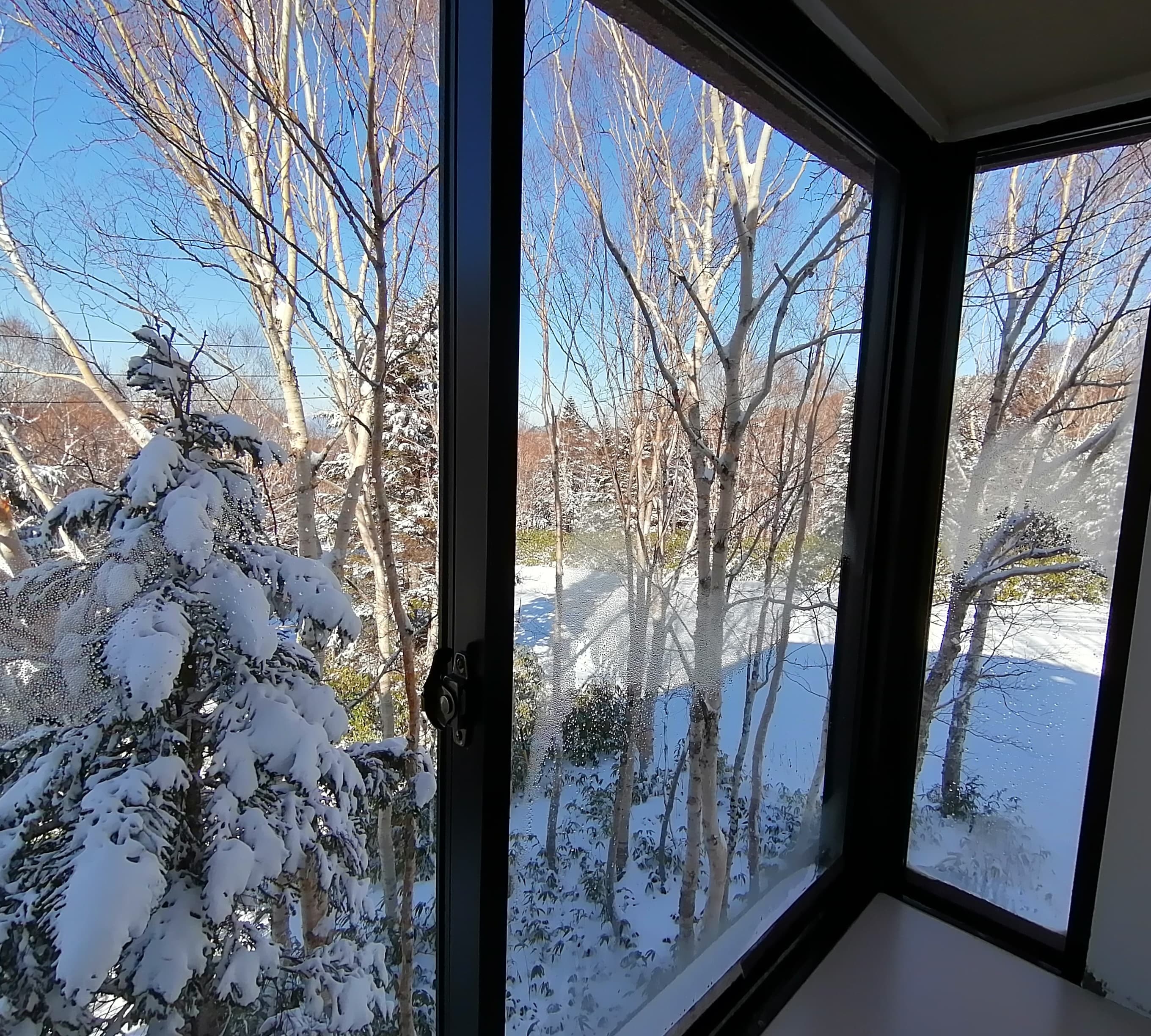 ★View from the Japanese-style room in the new building