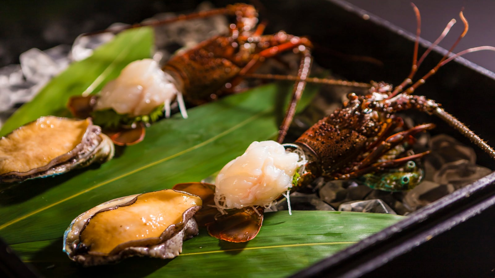 Đặc sản của Miharuya "Bữa tiệc tôm hùm và bào ngư Ise" Một hộp kho báu từ xứ sở thần tiên