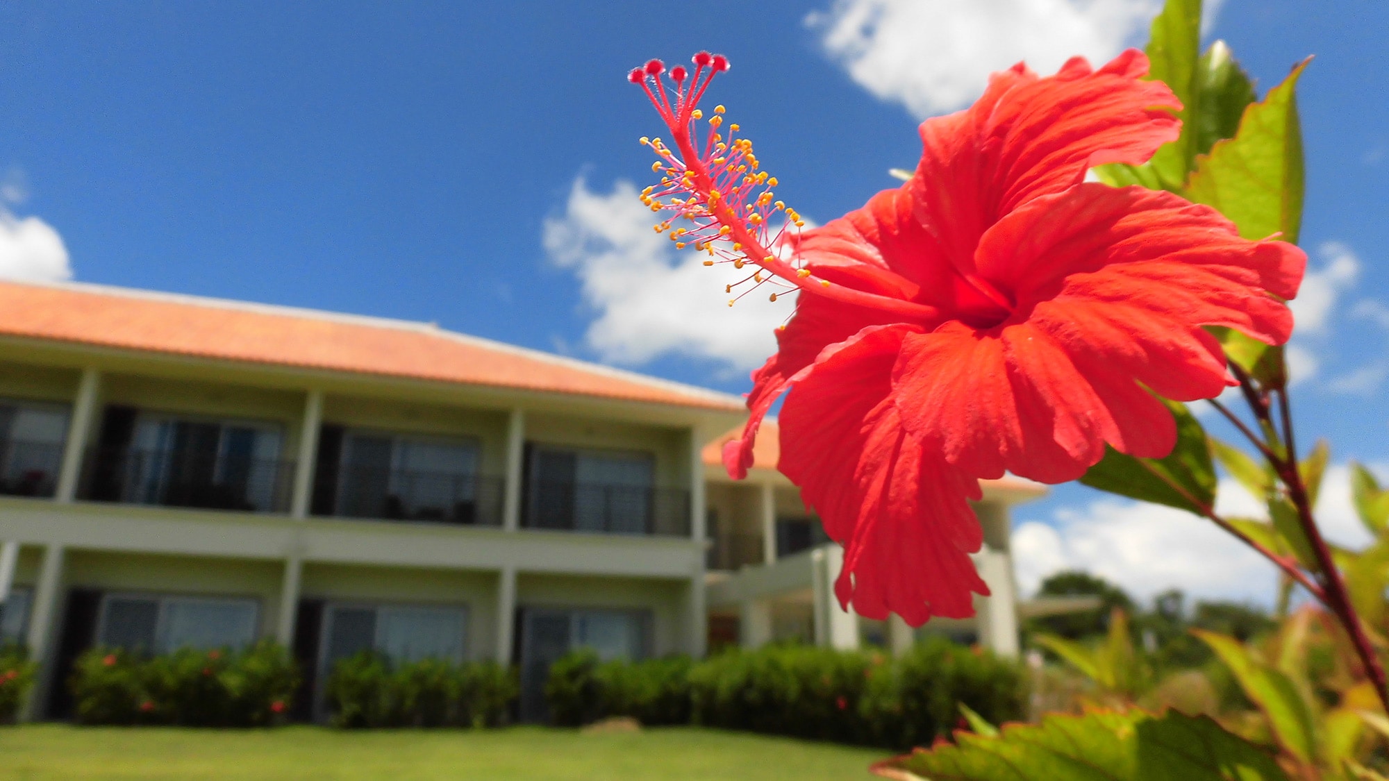 Hotel exterior
