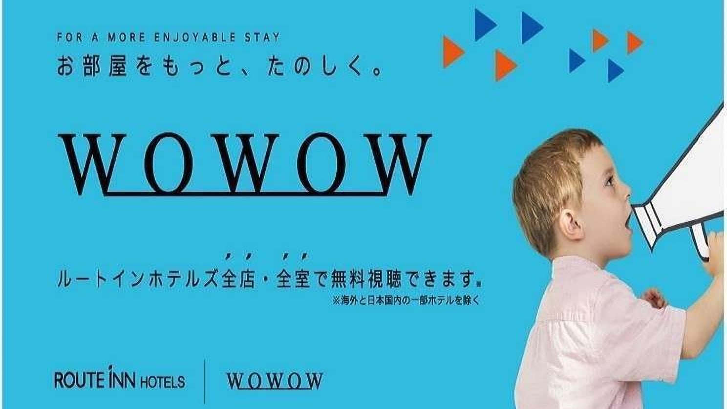 所有客房均可觀賞 WOWOW