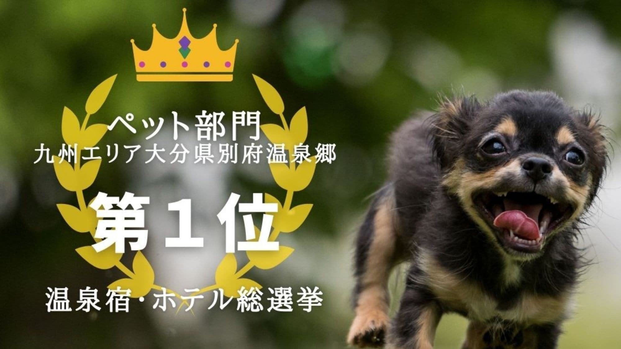 Pemilihan umum pemandian air panas 2021, No. 1 di area dalam kategori hewan peliharaan! Terima kasih atas dukungan Anda! Tempat ke-8 di Jepang!