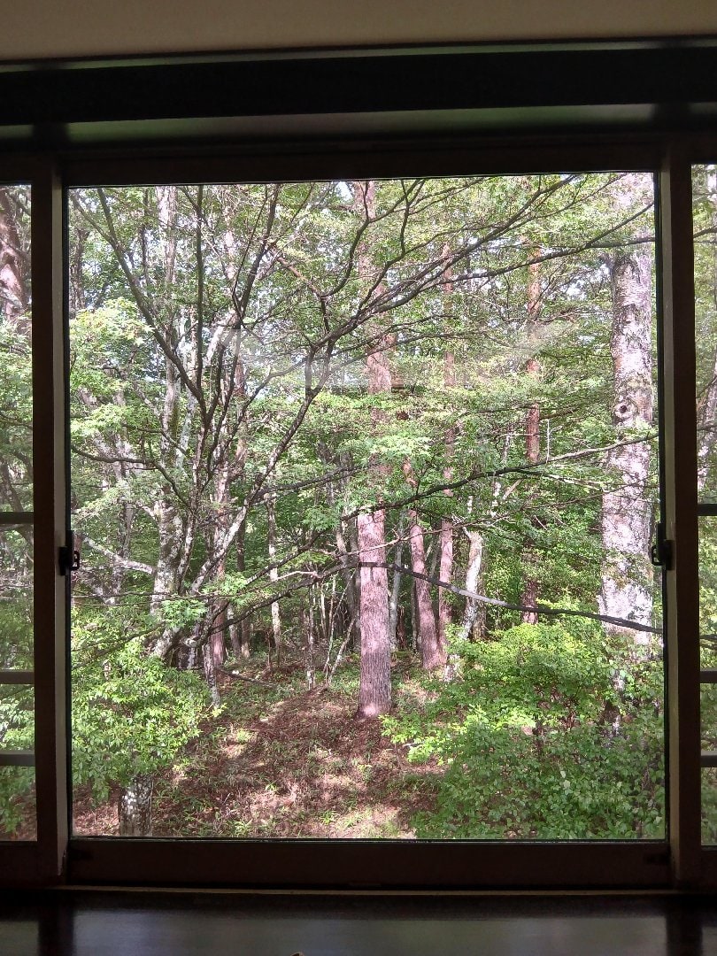 20260924_090815.jpg