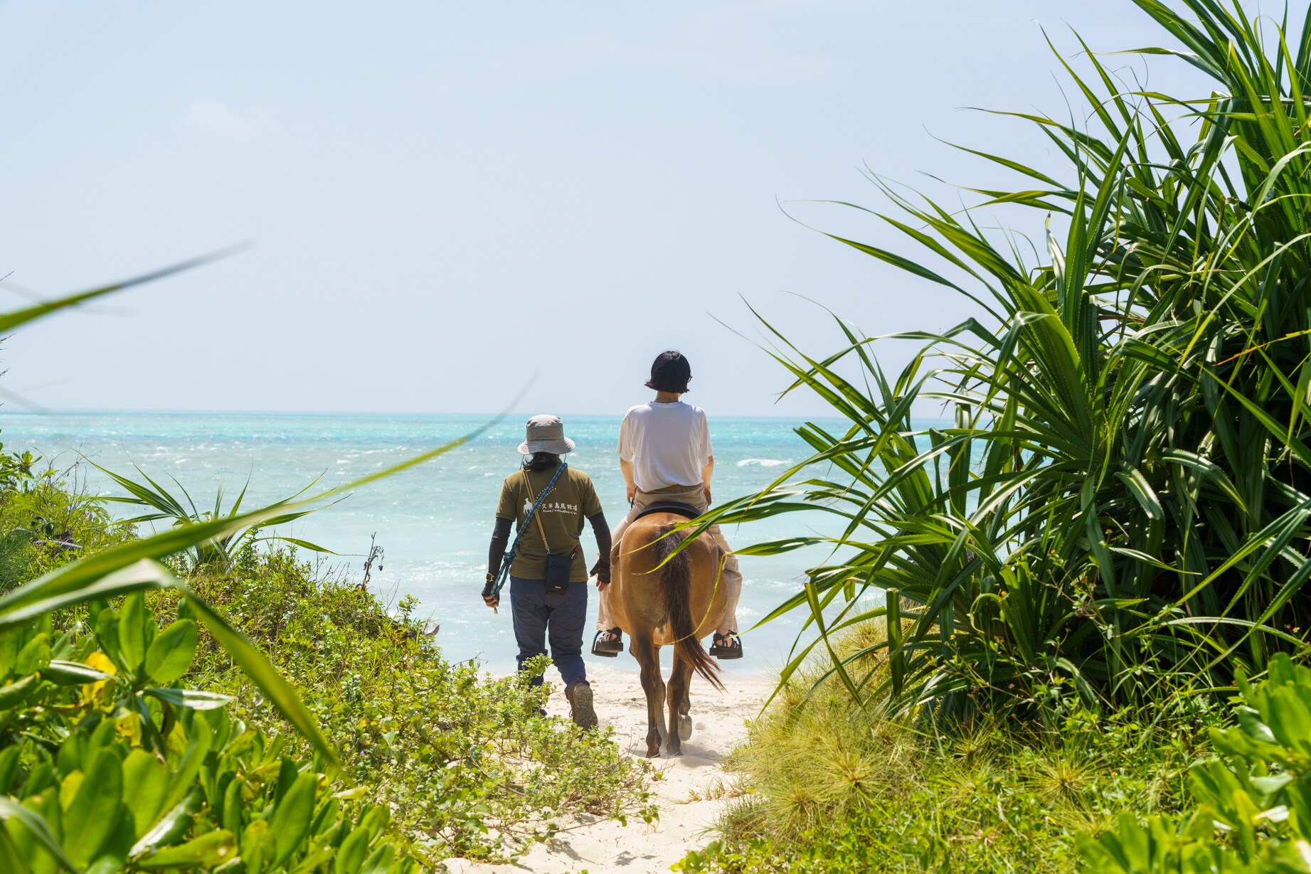 Horse riding experience