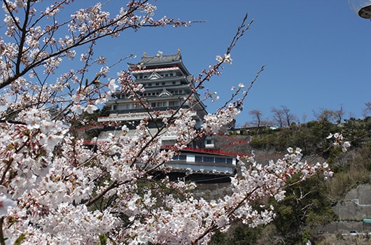 Festival Bunga Sakura Kastil Atami