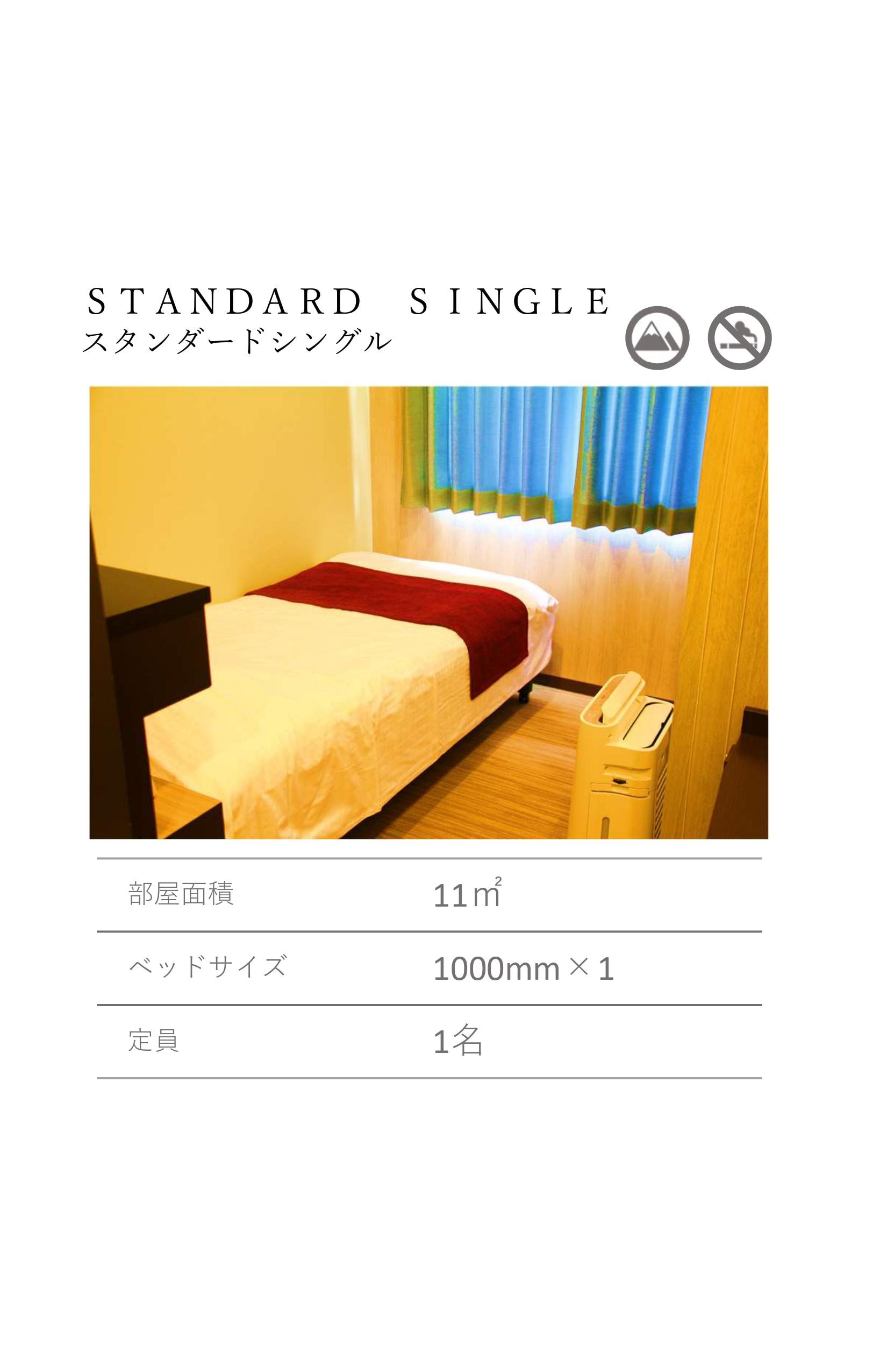 Standard single 1