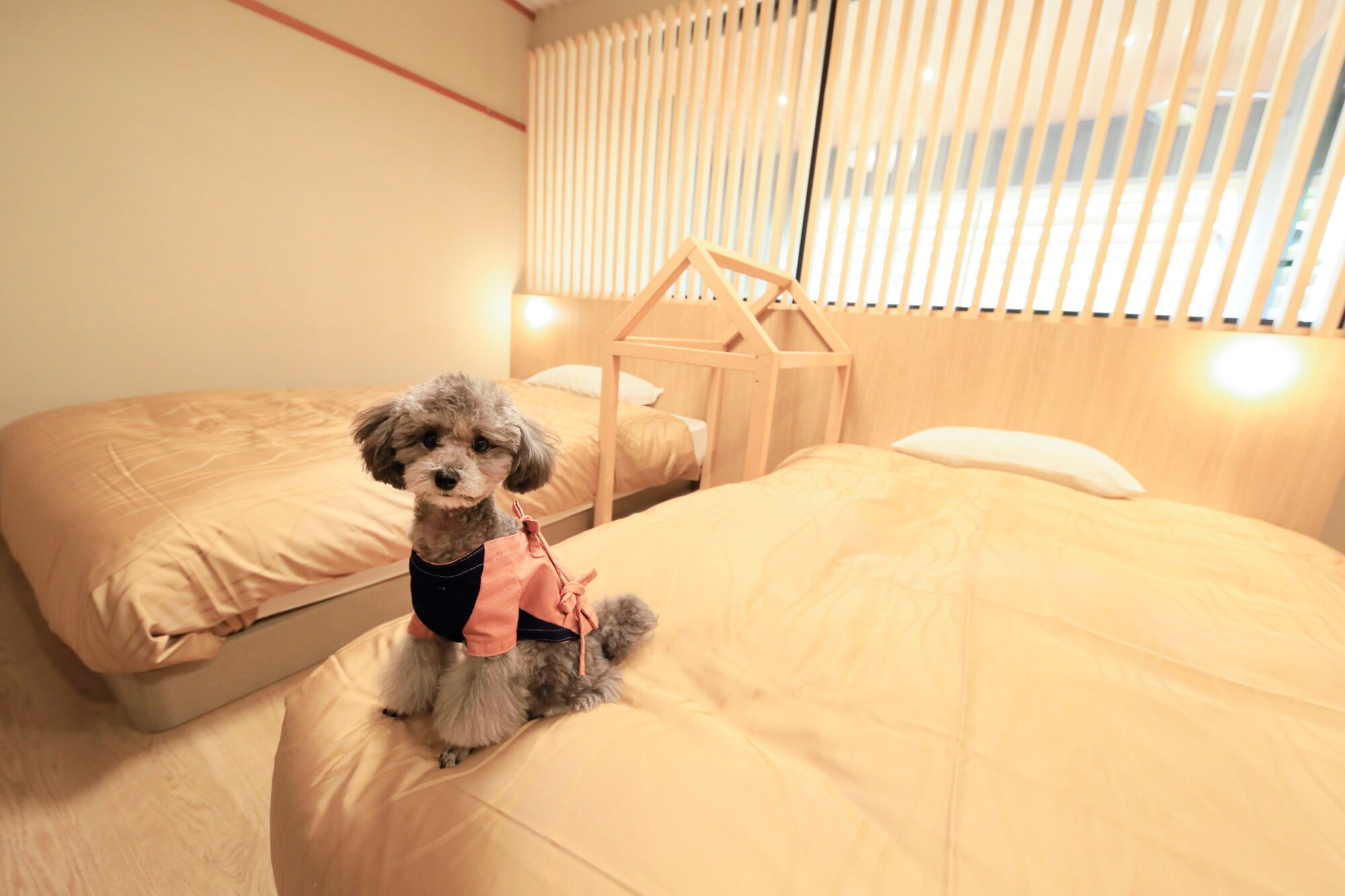 Western-style twin room with semi-open-air bath