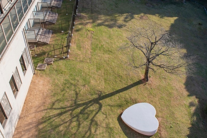 [Standard_Dog Run Straight] This room offers direct access to the outdoor dog run.