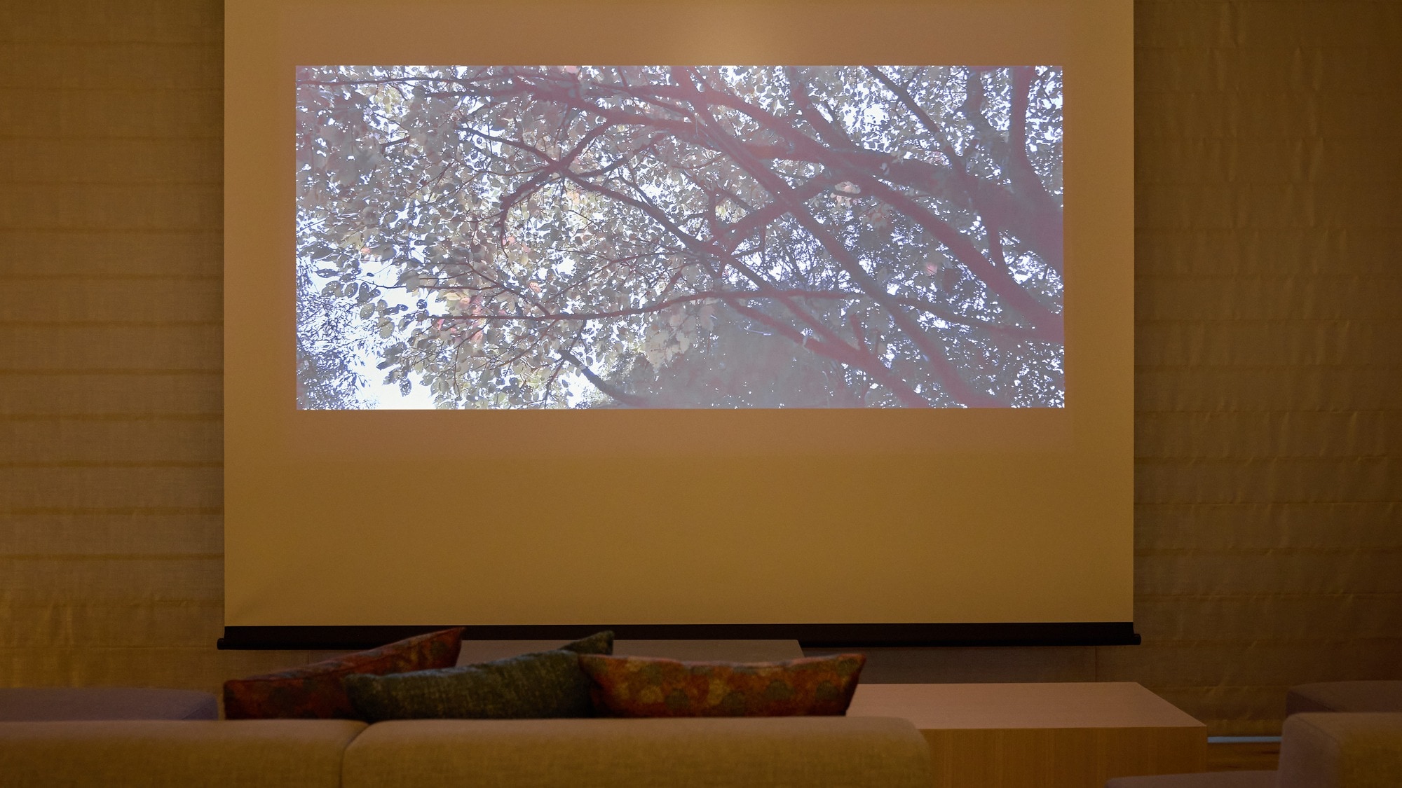 A: Screen + Projector