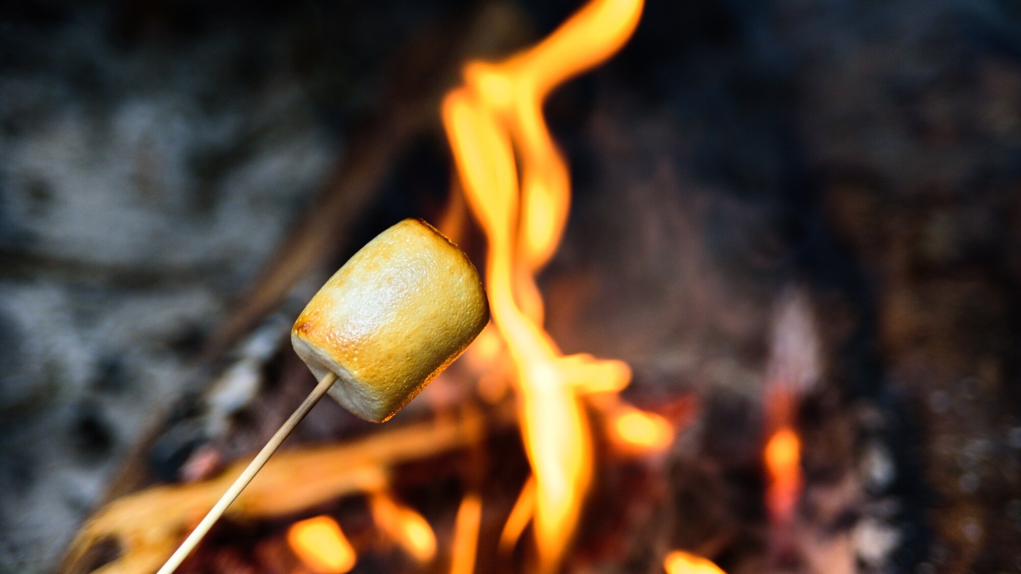 Roasted marshmallows