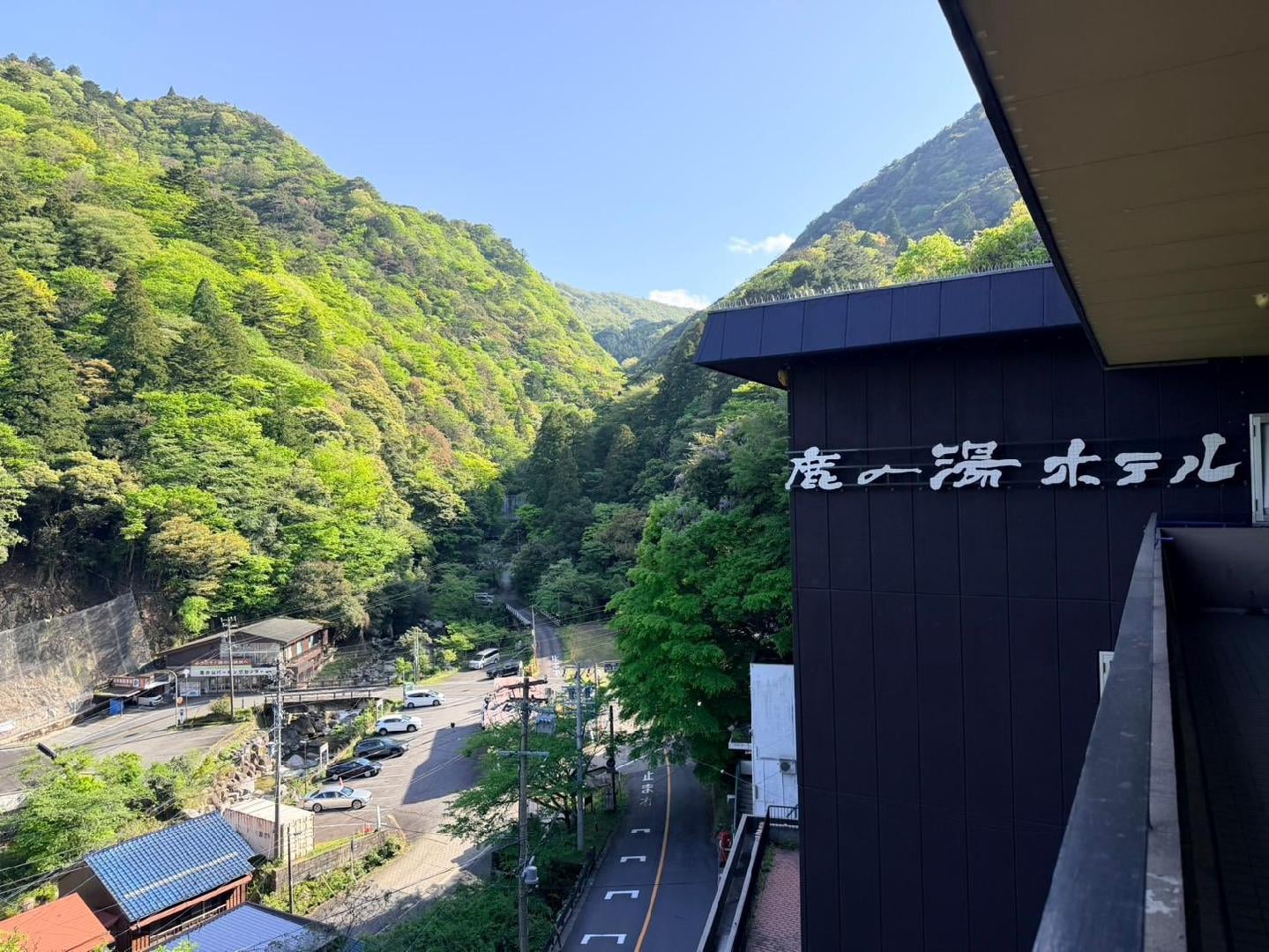 69FC5A68-3081-4927-A308-771BF409061D.jpeg