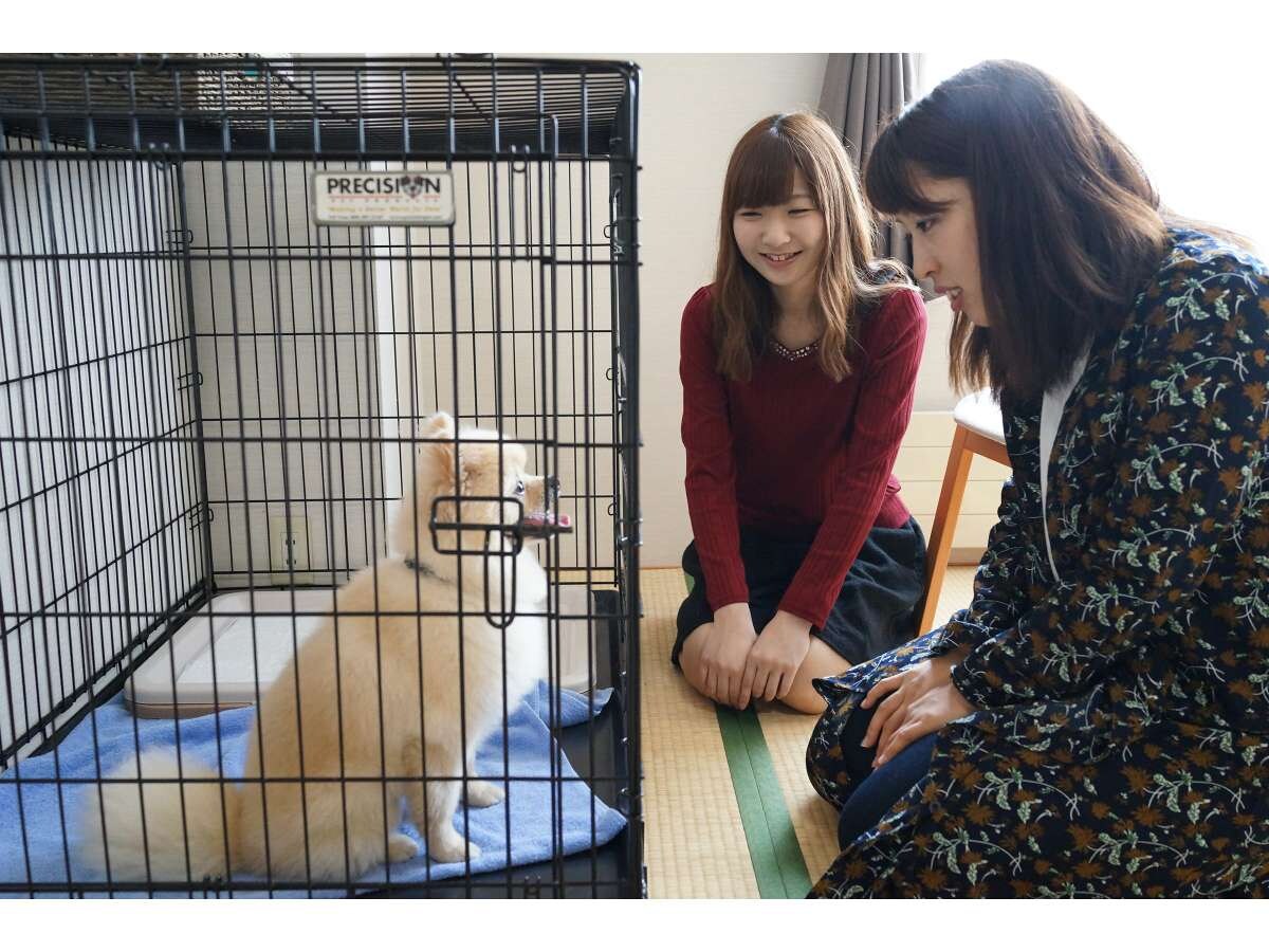 Tolong tinggal di rumah untuk sementara waktu☆
